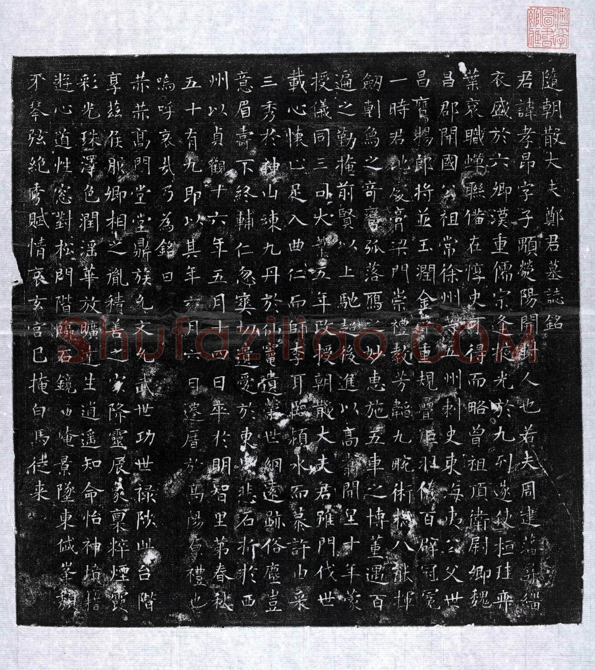 唐 郑孝昂 墓誌