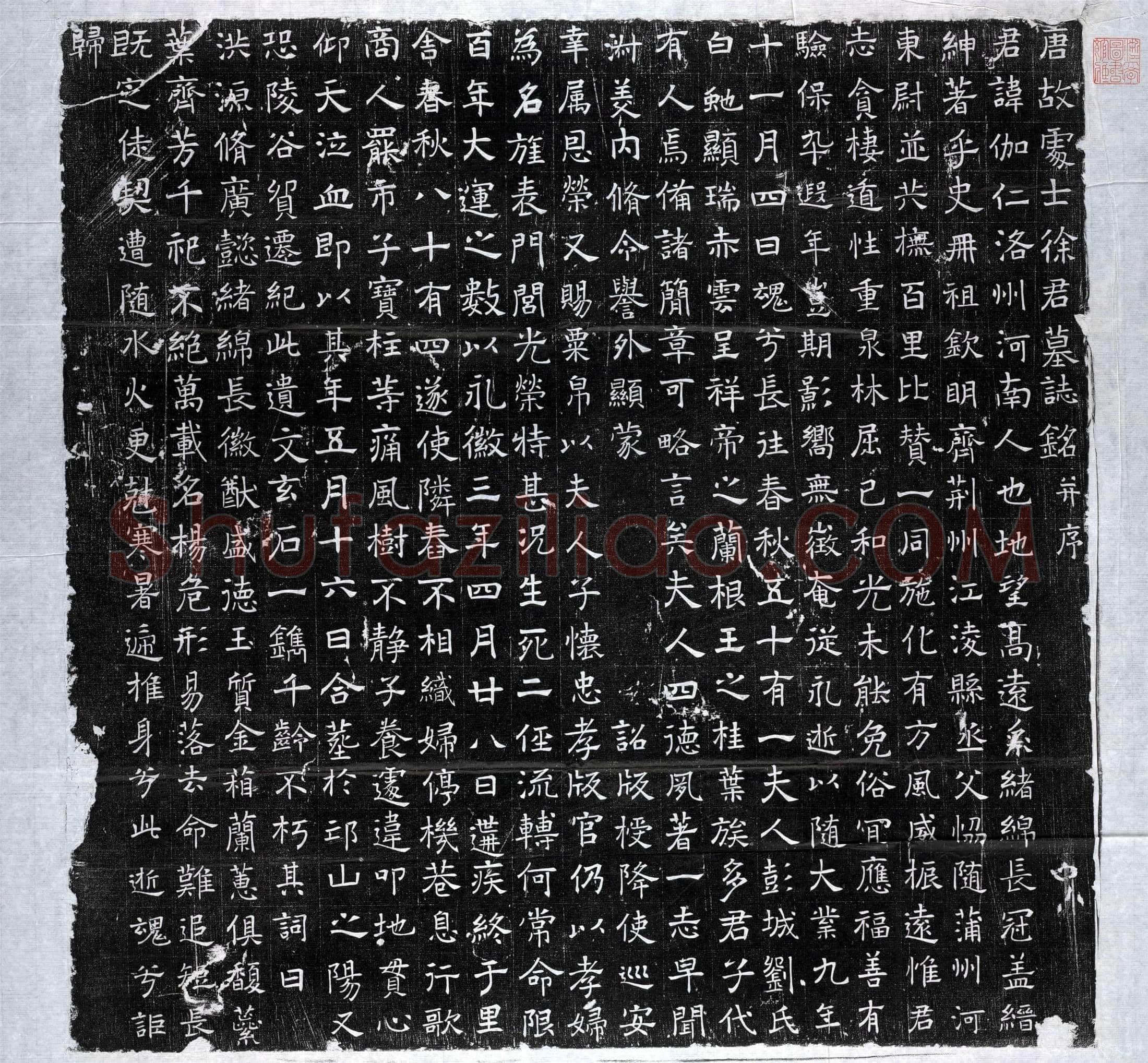 唐 徐伽仁 墓誌