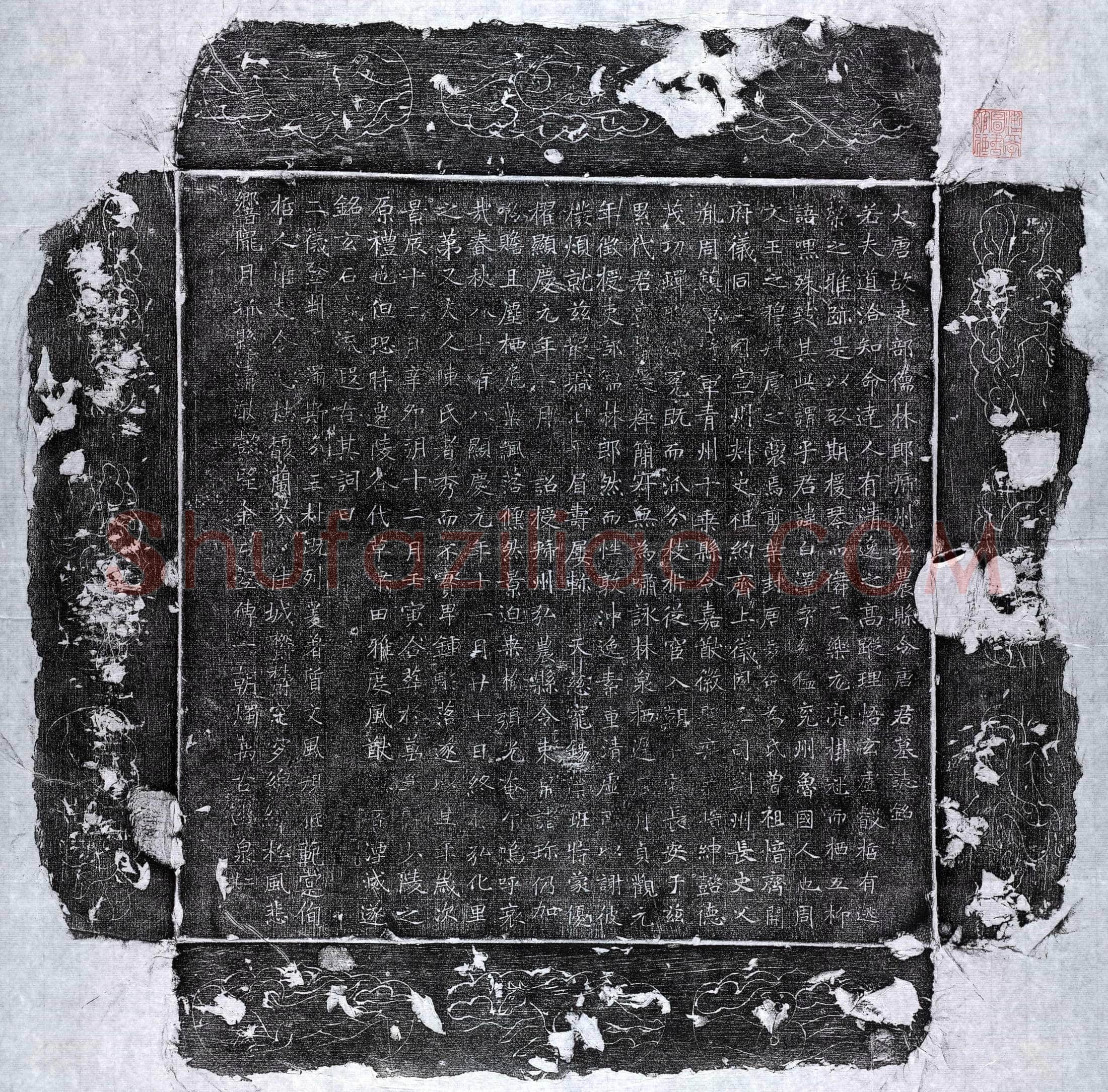 唐唐白泽墓誌(大唐故吏部儒林郎虢州弘农县令唐君墓誌铭)