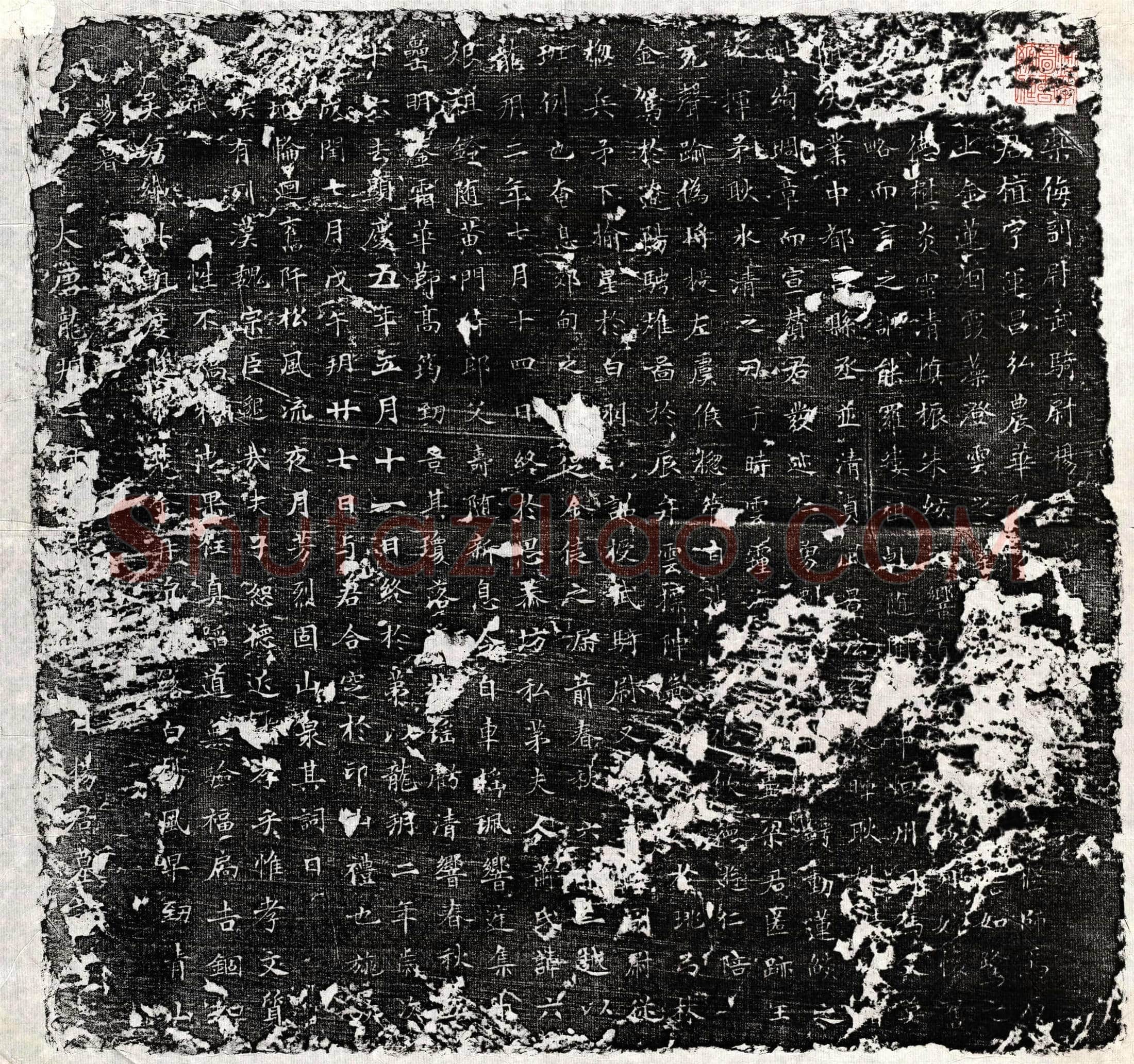 唐 杨植 墓誌