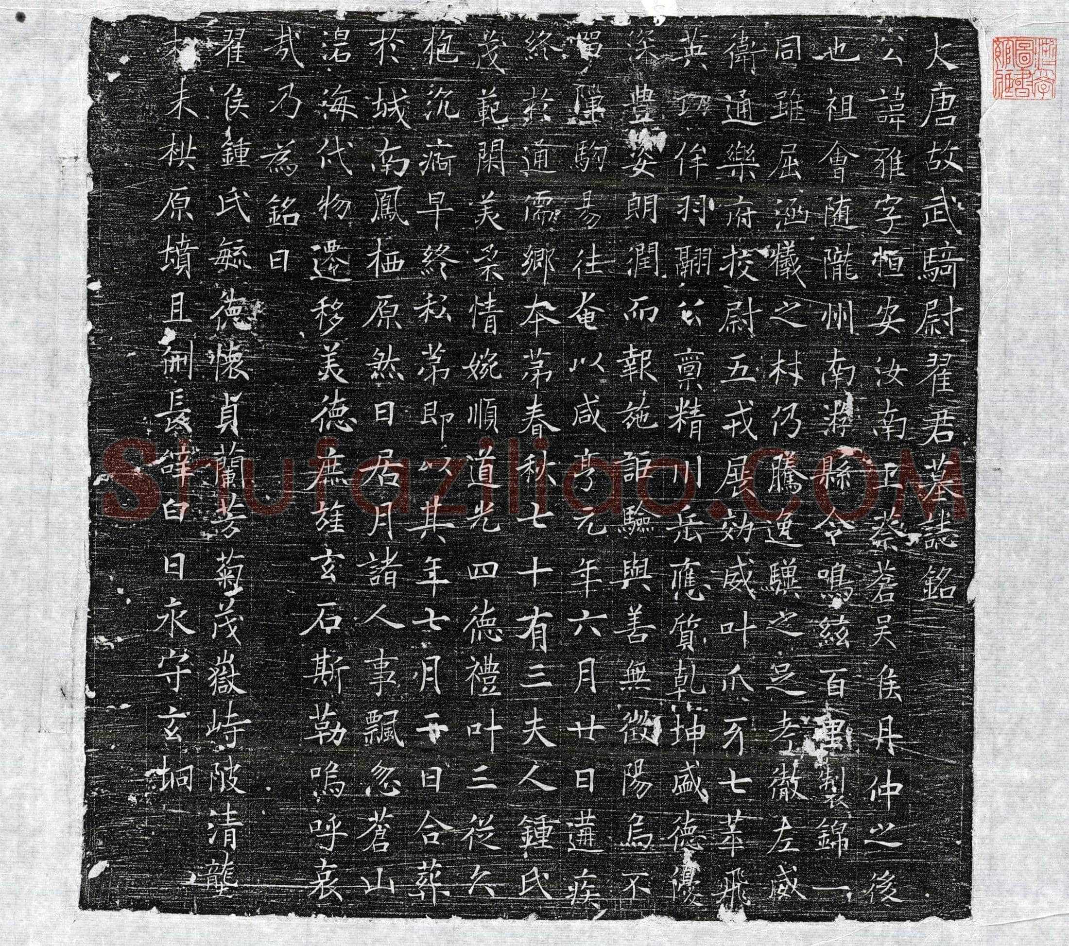 唐 翟雅 墓誌
