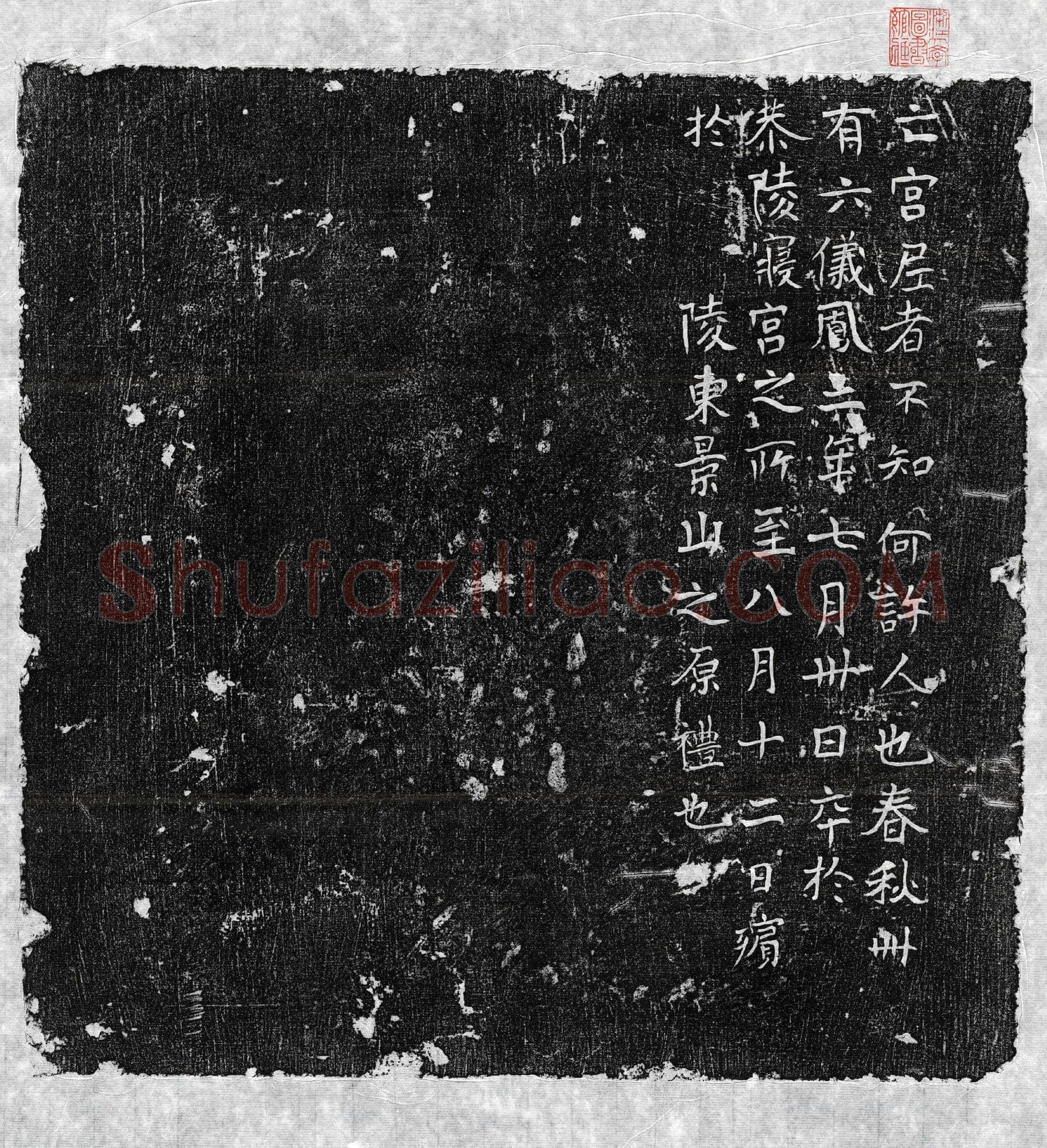 唐 七品宫尼 墓誌