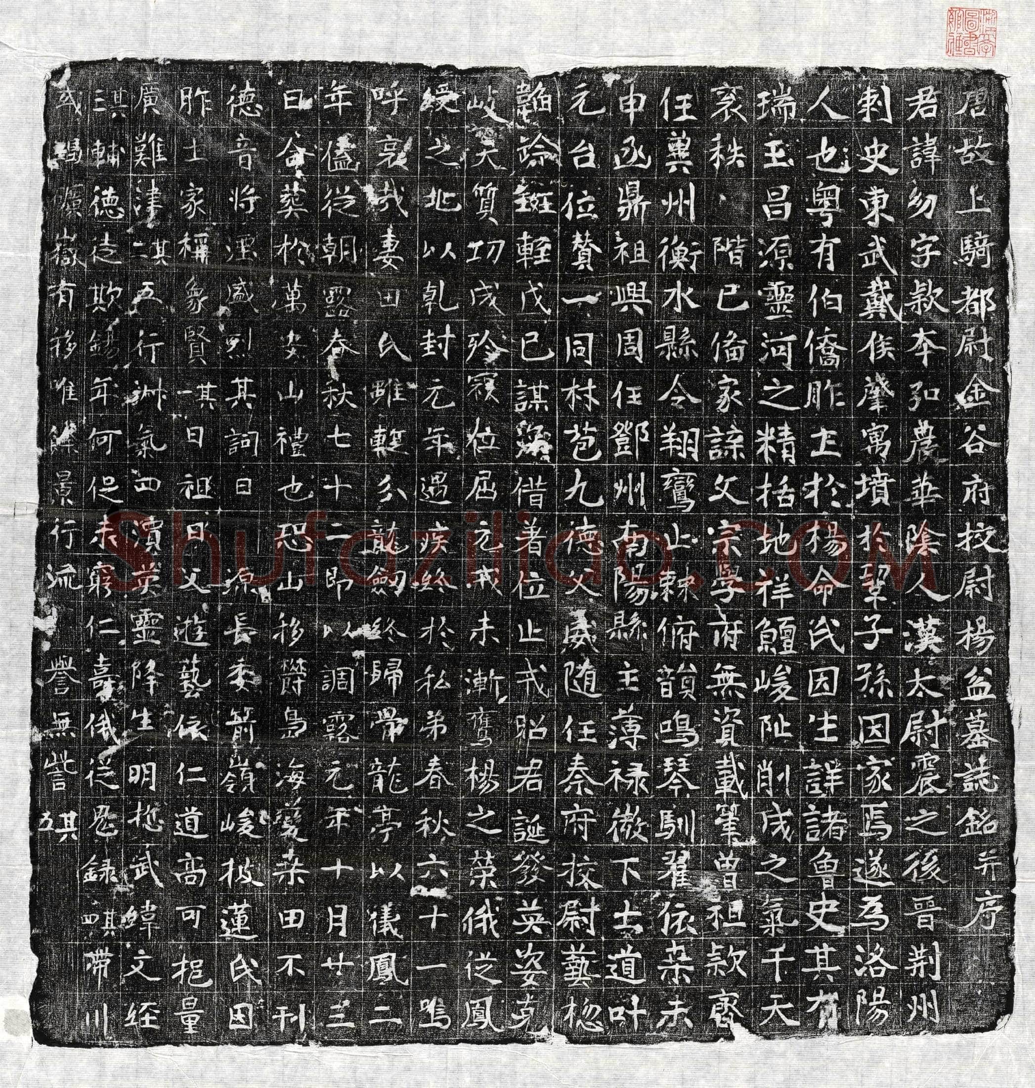 唐 杨幼 墓誌