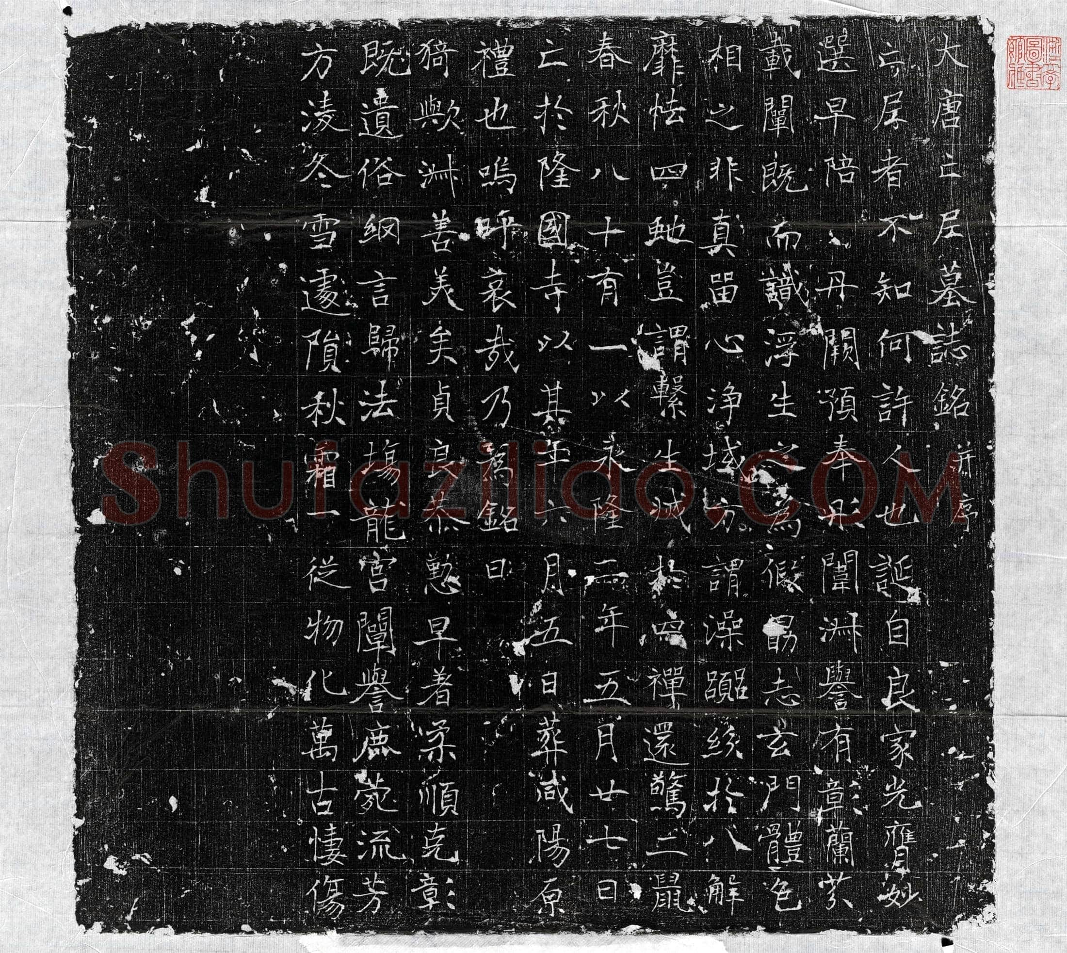 唐 宫尼 墓誌