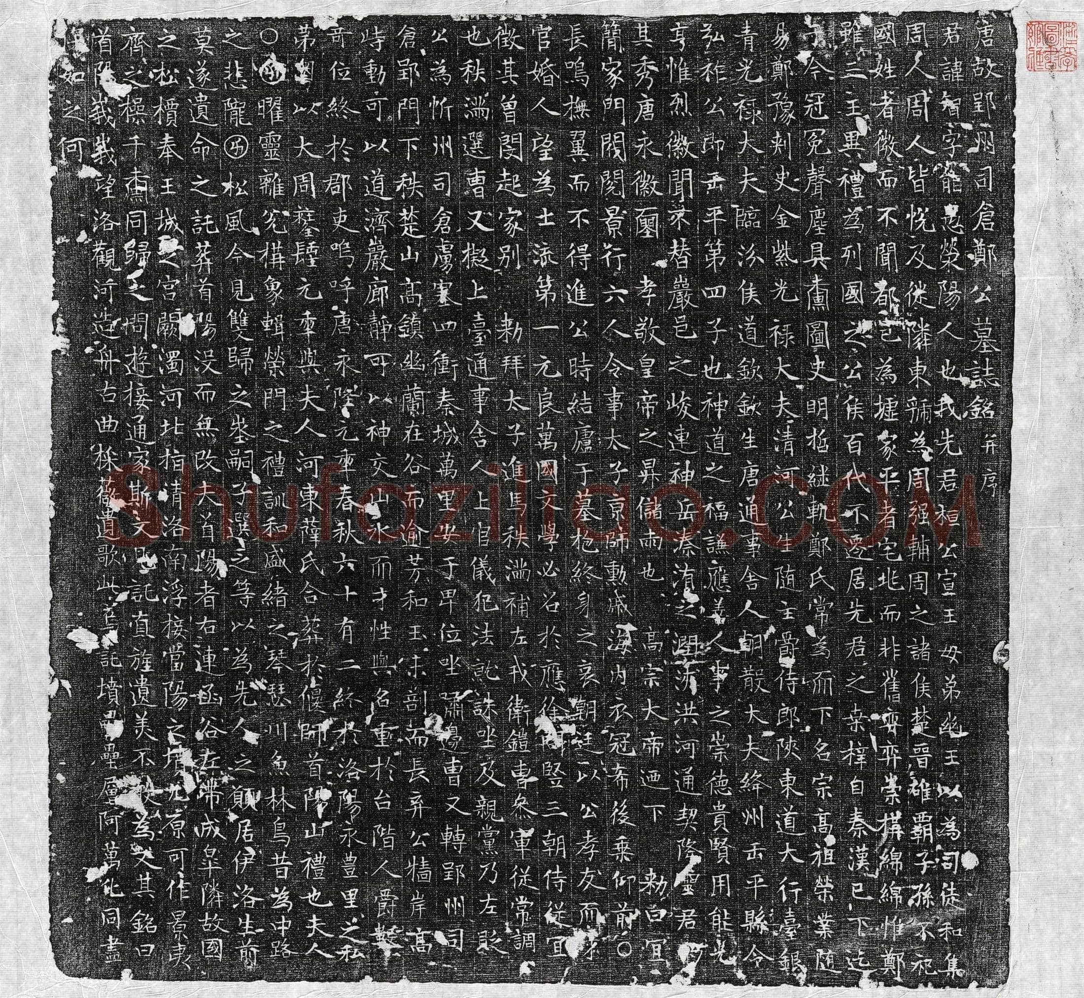 唐郑智墓誌(唐故郢州司仓郑公墓誌铭并序)