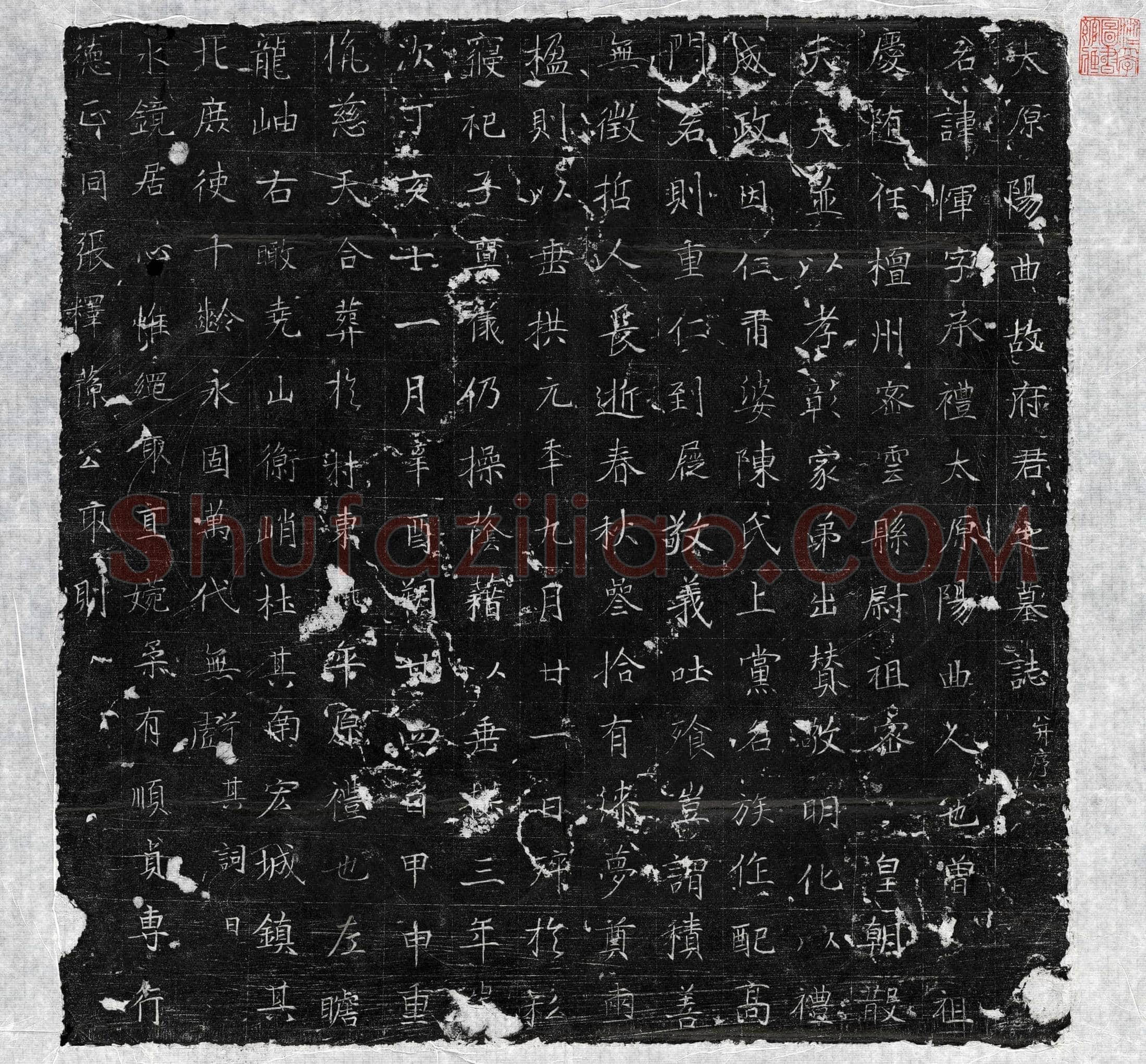 唐 □恽 墓誌