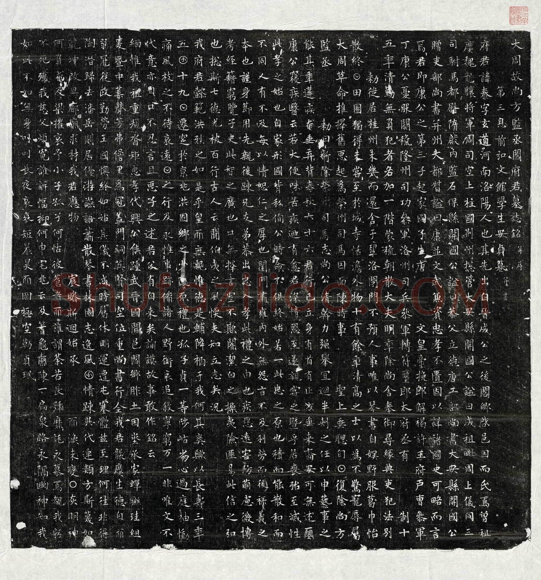 唐 阎泰 墓誌