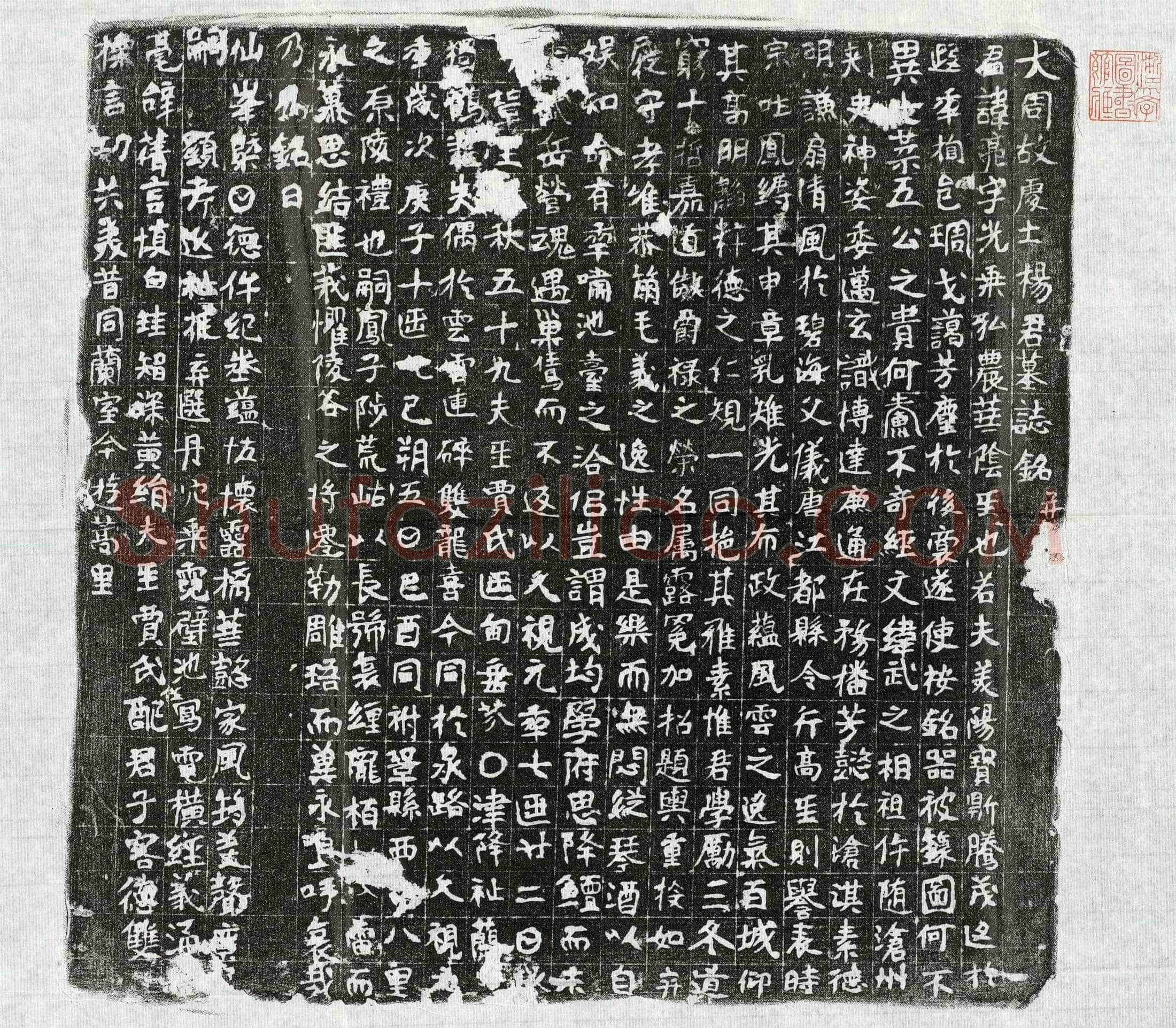 唐 杨亮 墓誌