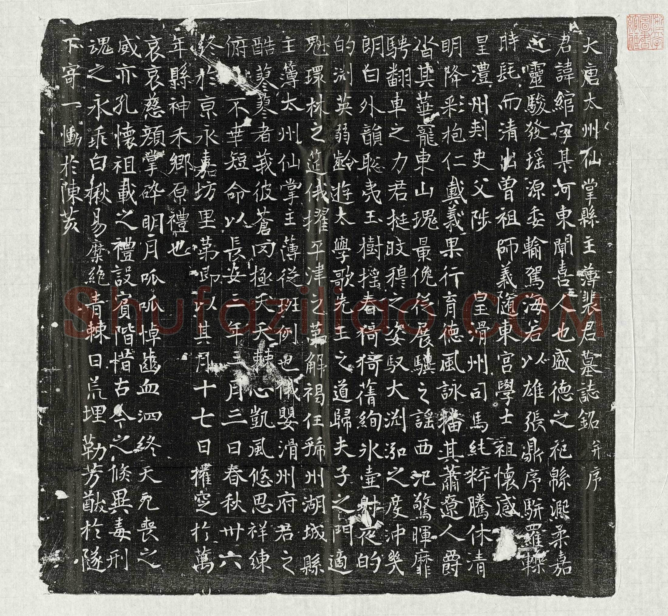 唐裴绾墓誌(大唐太州仙掌县主簿裴君墓誌铭并序)