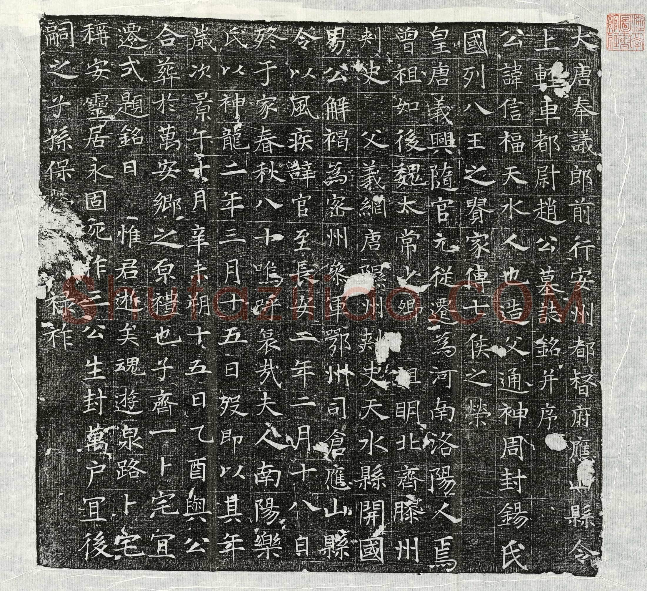 唐 赵信福 墓誌