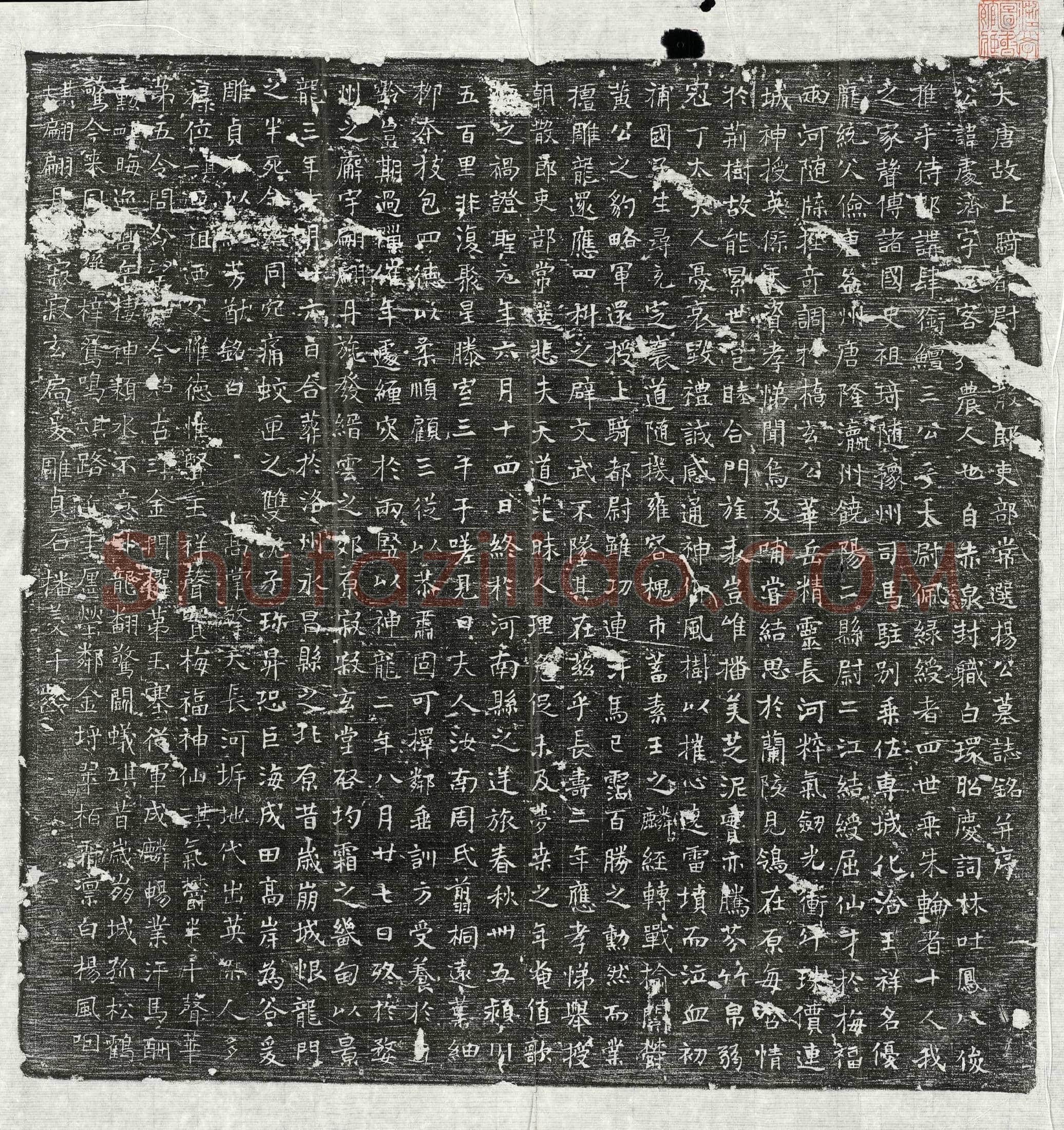 唐杨处济墓誌(大唐故上骑都尉□散郎吏部常选杨公墓誌铭并序)