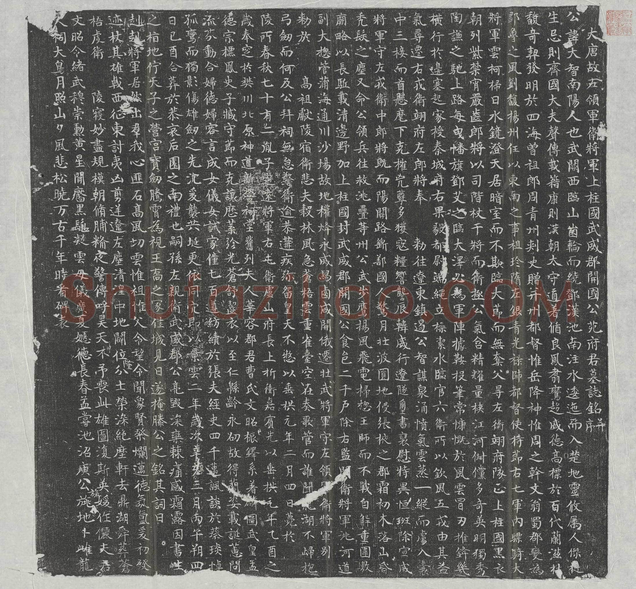 唐 苑大智 墓誌