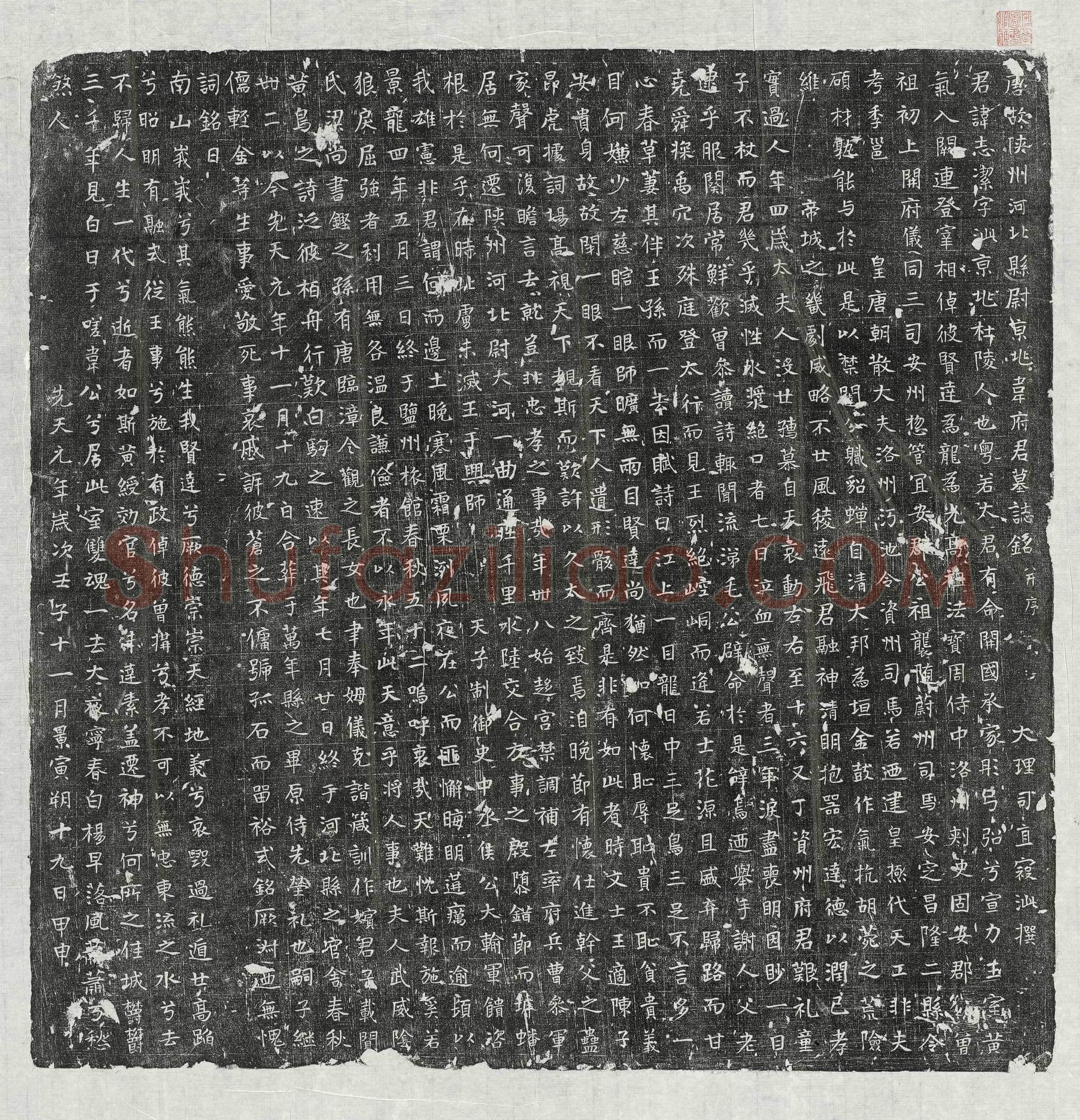 唐 韦志洁 墓誌