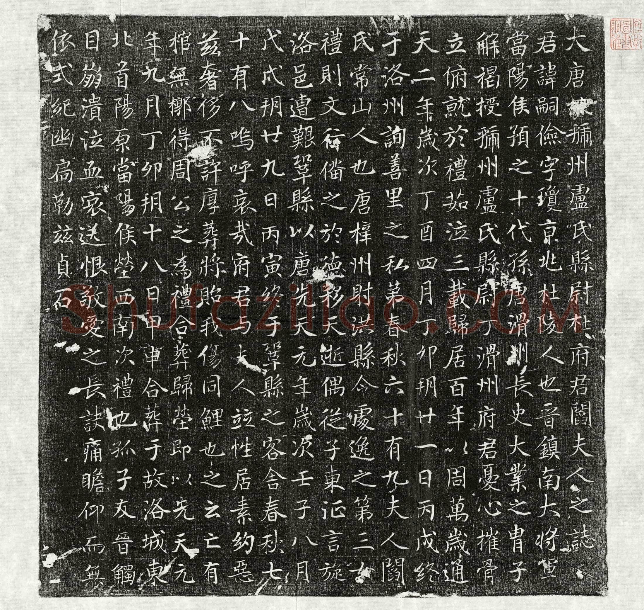 唐 杜嗣俭 阎氏 墓誌