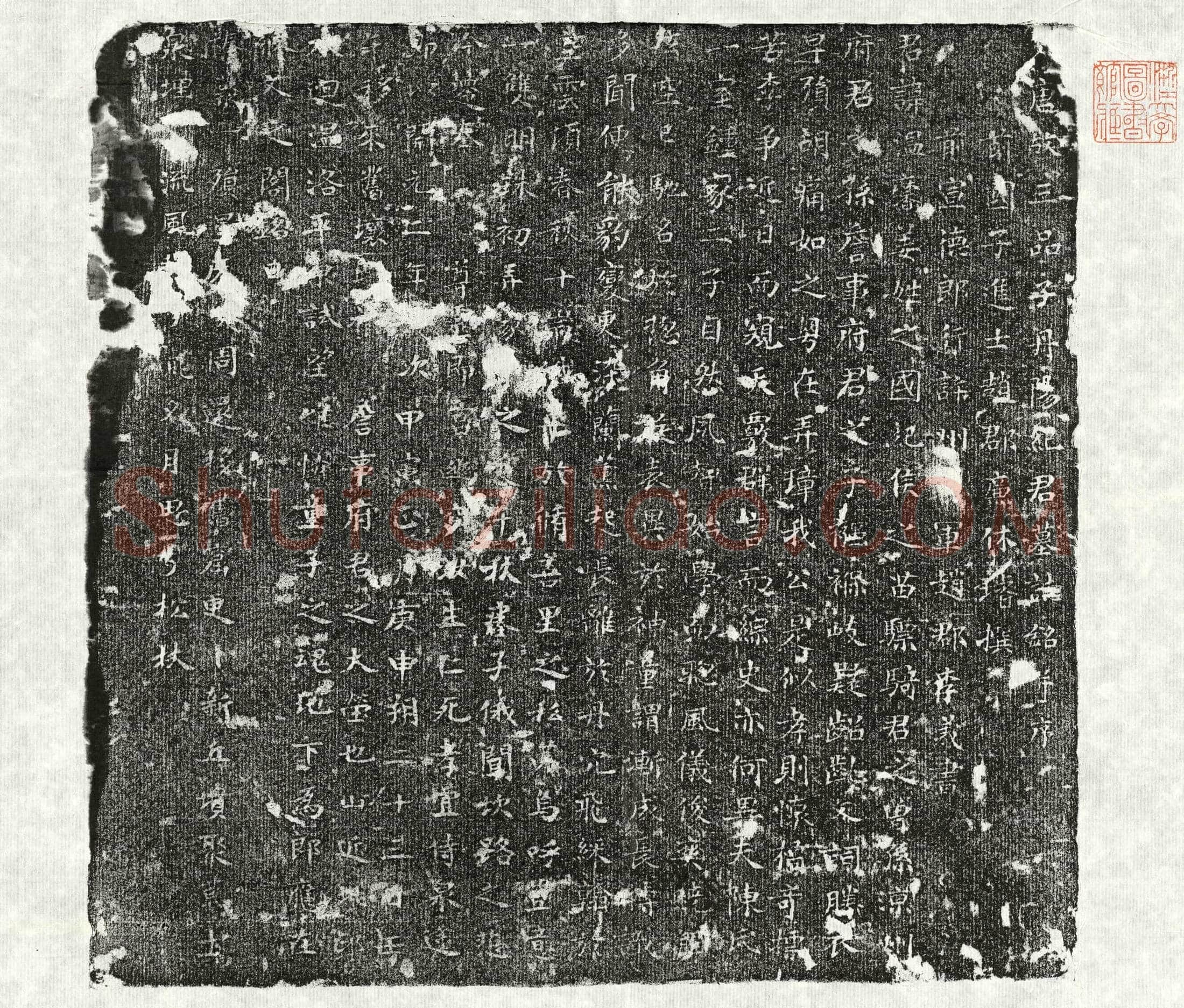 唐 纪温黁 墓誌