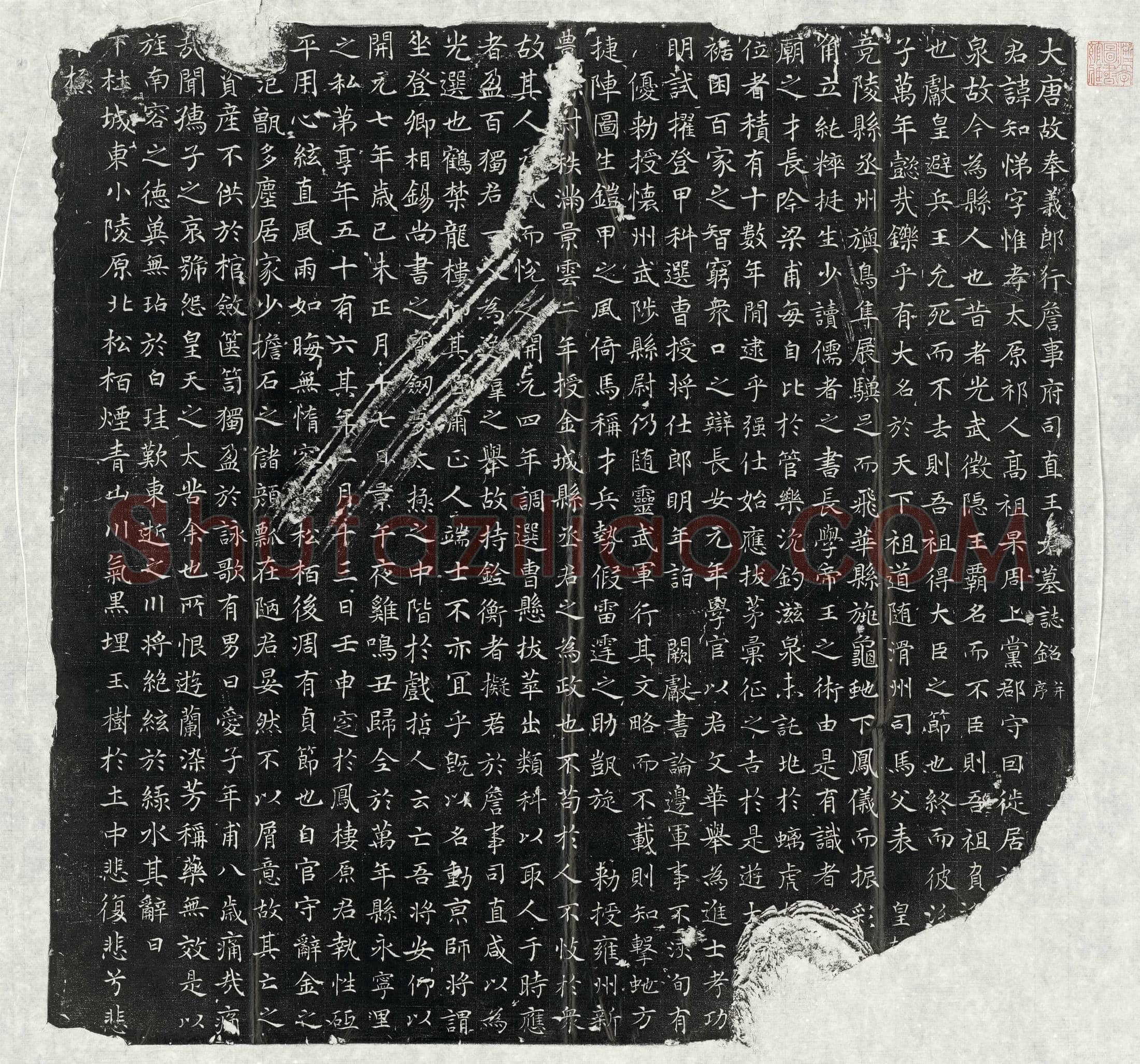 唐 韦知正 墓誌