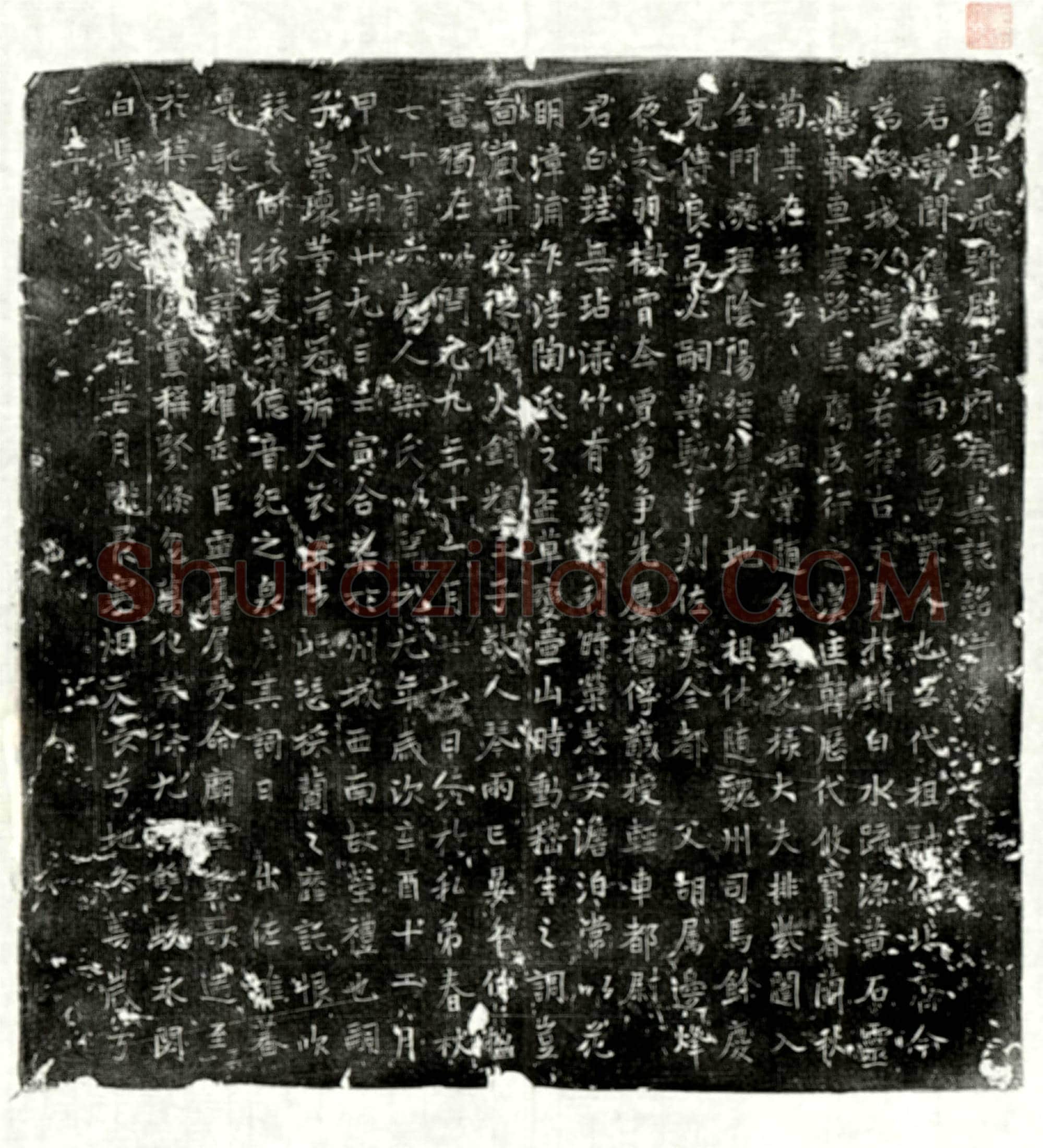 唐张闻礼墓誌(唐故飞骑尉张府君墓誌铭并序)