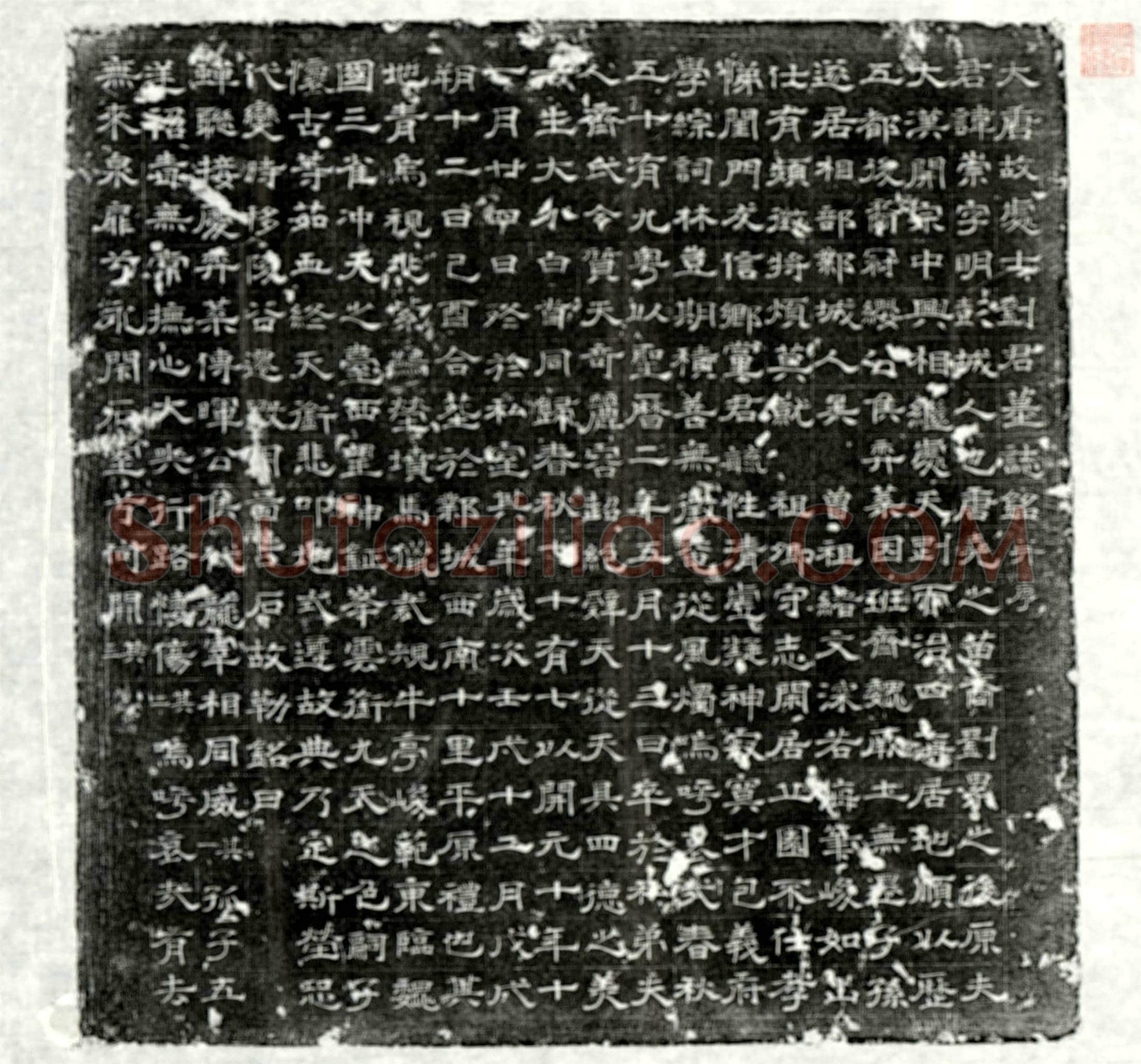 唐 张闻礼 墓誌
