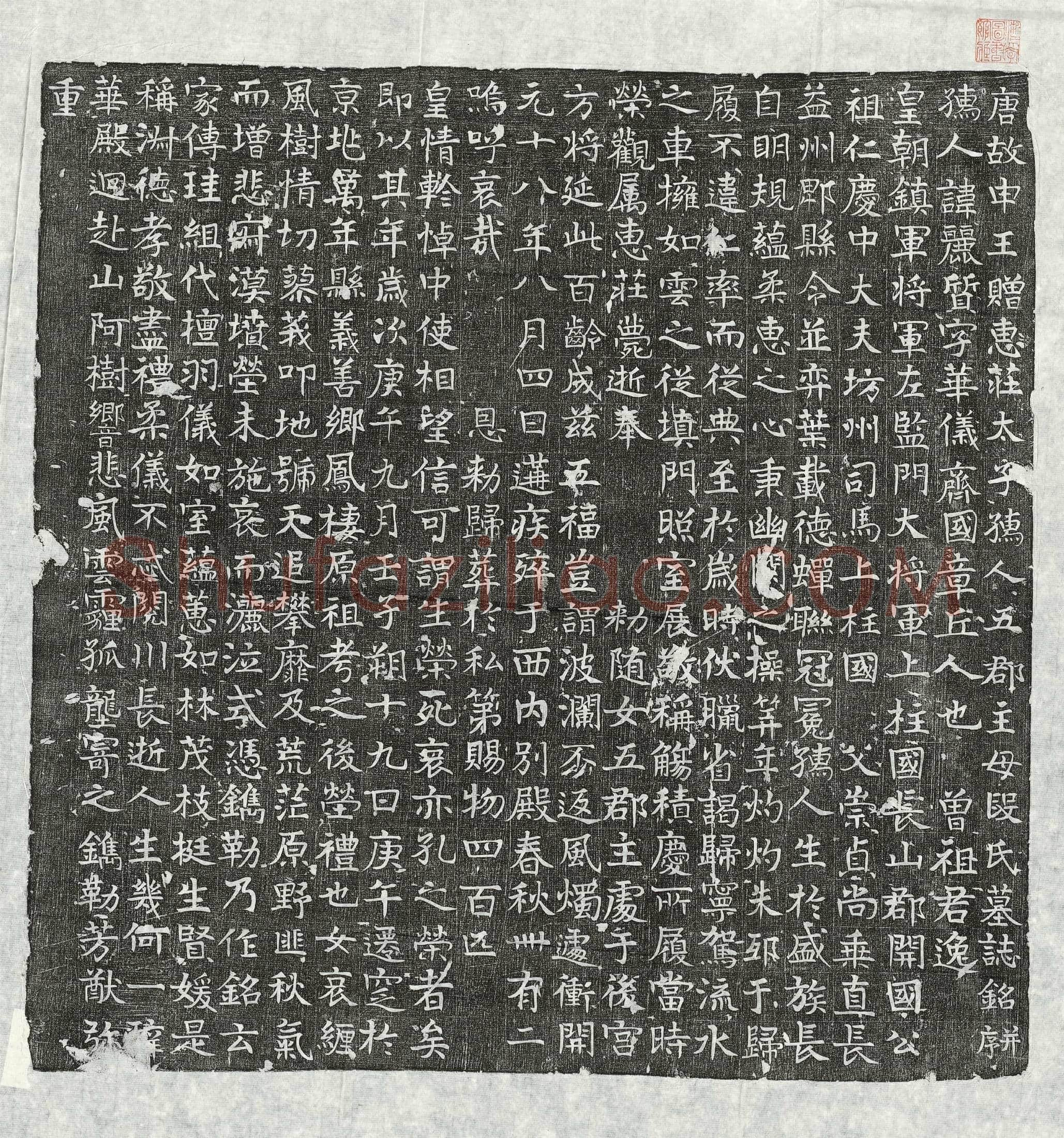 唐 鱼涉 墓誌