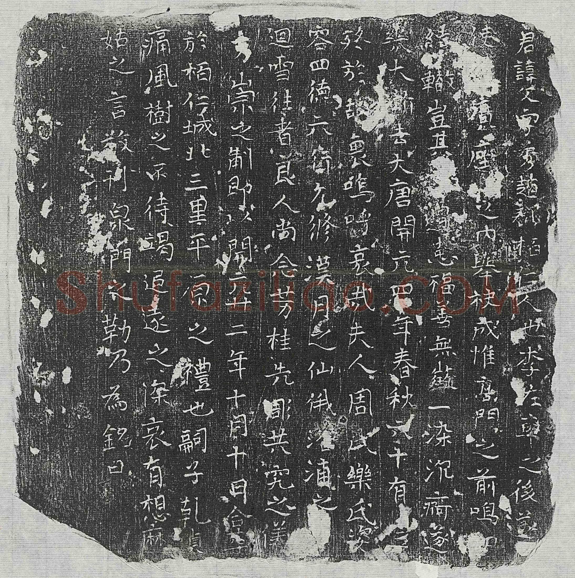 唐 阴叔玉 墓誌