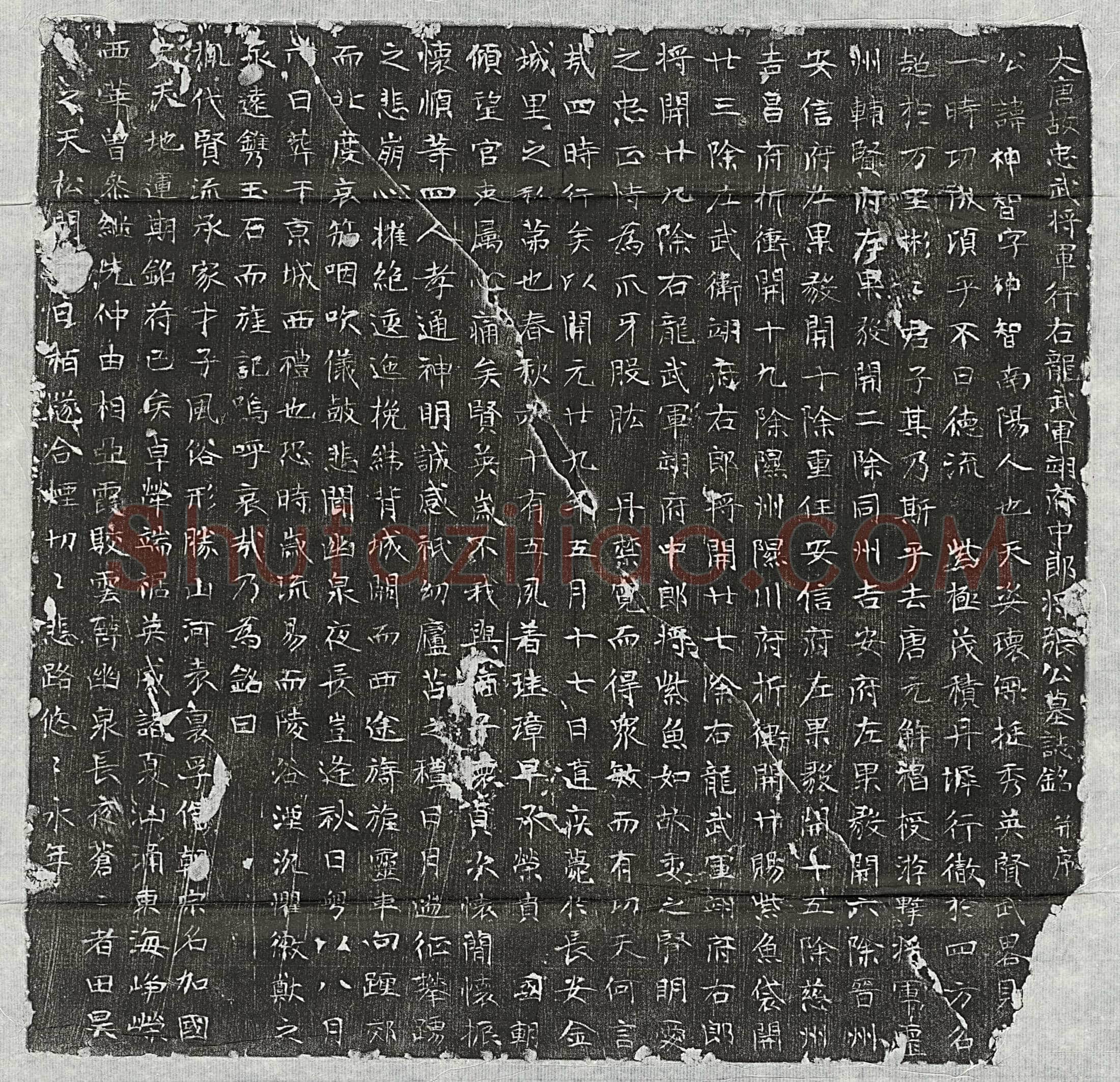 唐张神智墓誌(大唐故忠武将军行右龙武军翊府中郎将张公墓誌铭并序)