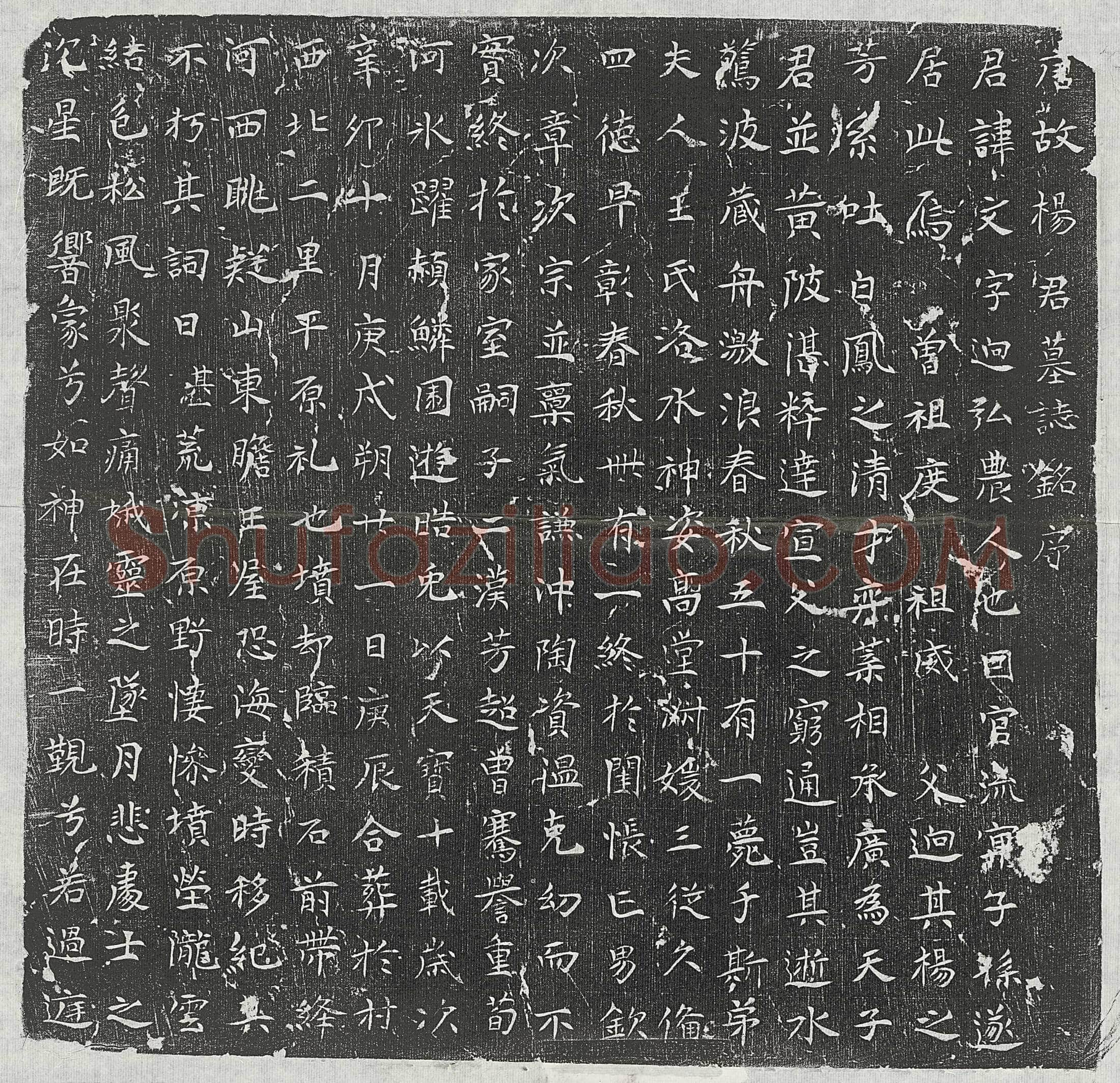 唐杨文墓誌(唐故杨君墓誌铭序)