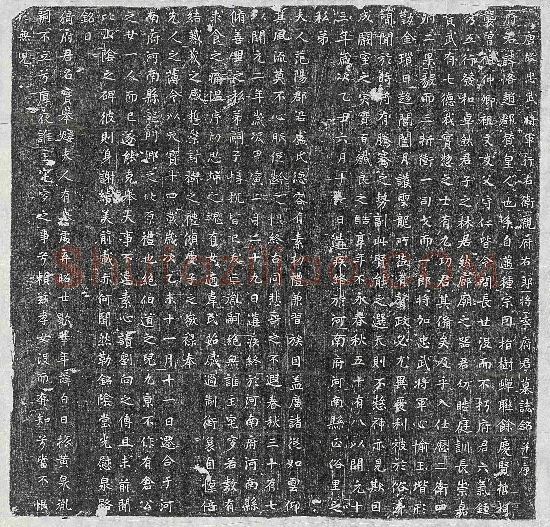 唐 王楚玉 墓誌