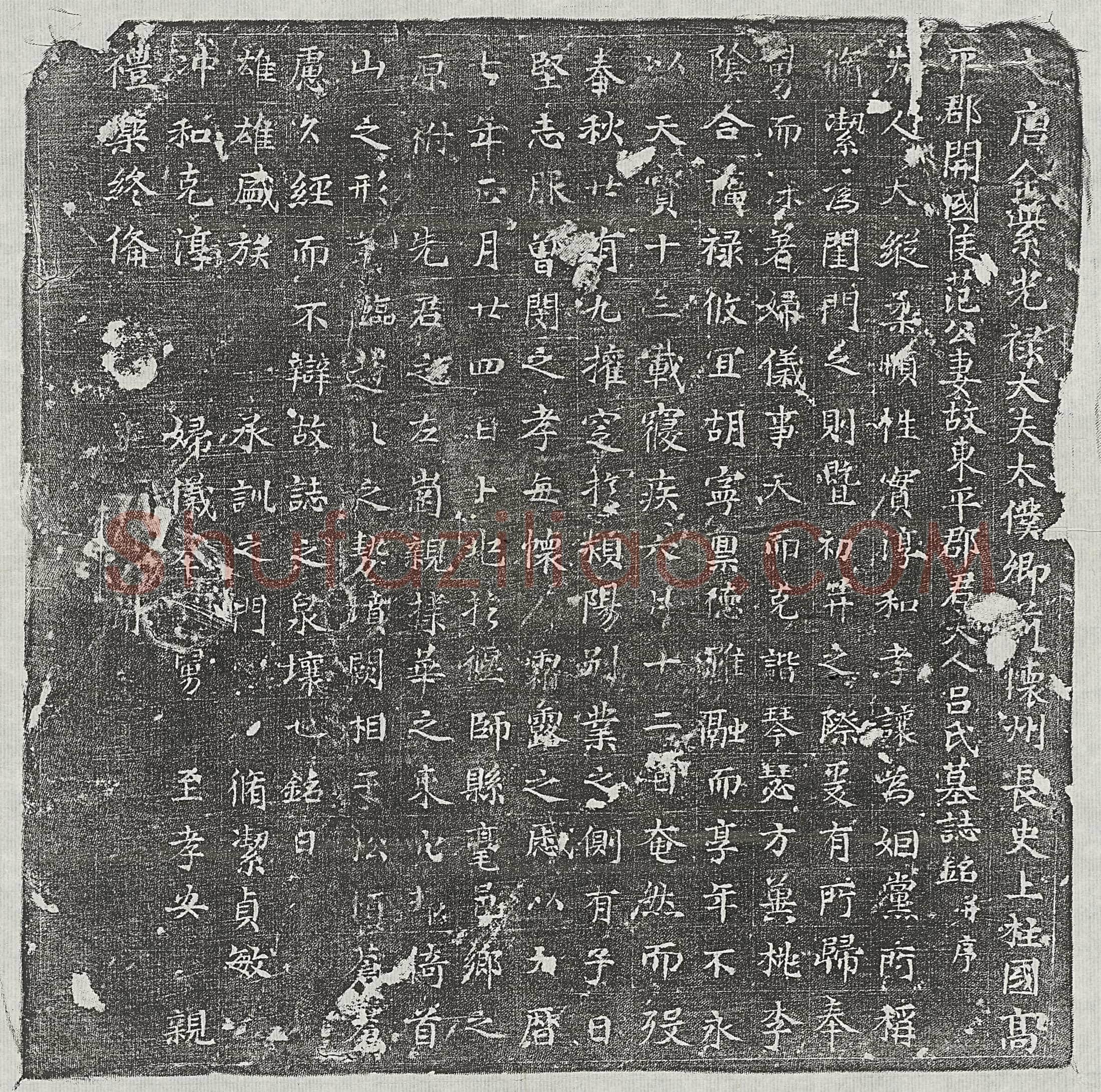 唐范君妻吕氏墓誌(大唐金紫光禄大夫太僕卿前怀州长史上柱国高平郡开国候范公妻故东平郡君夫人吕氏墓誌铭并序)