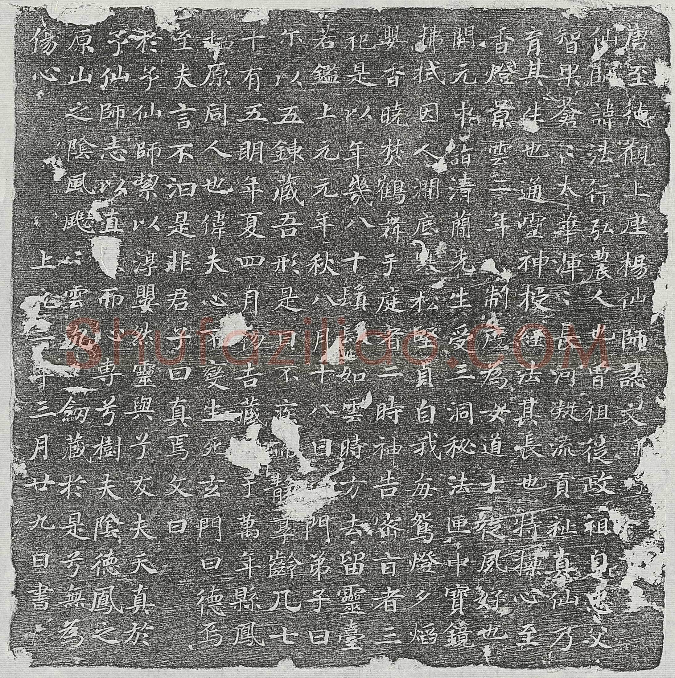 唐法行墓誌(唐至德观上座杨仙师誌文并序)