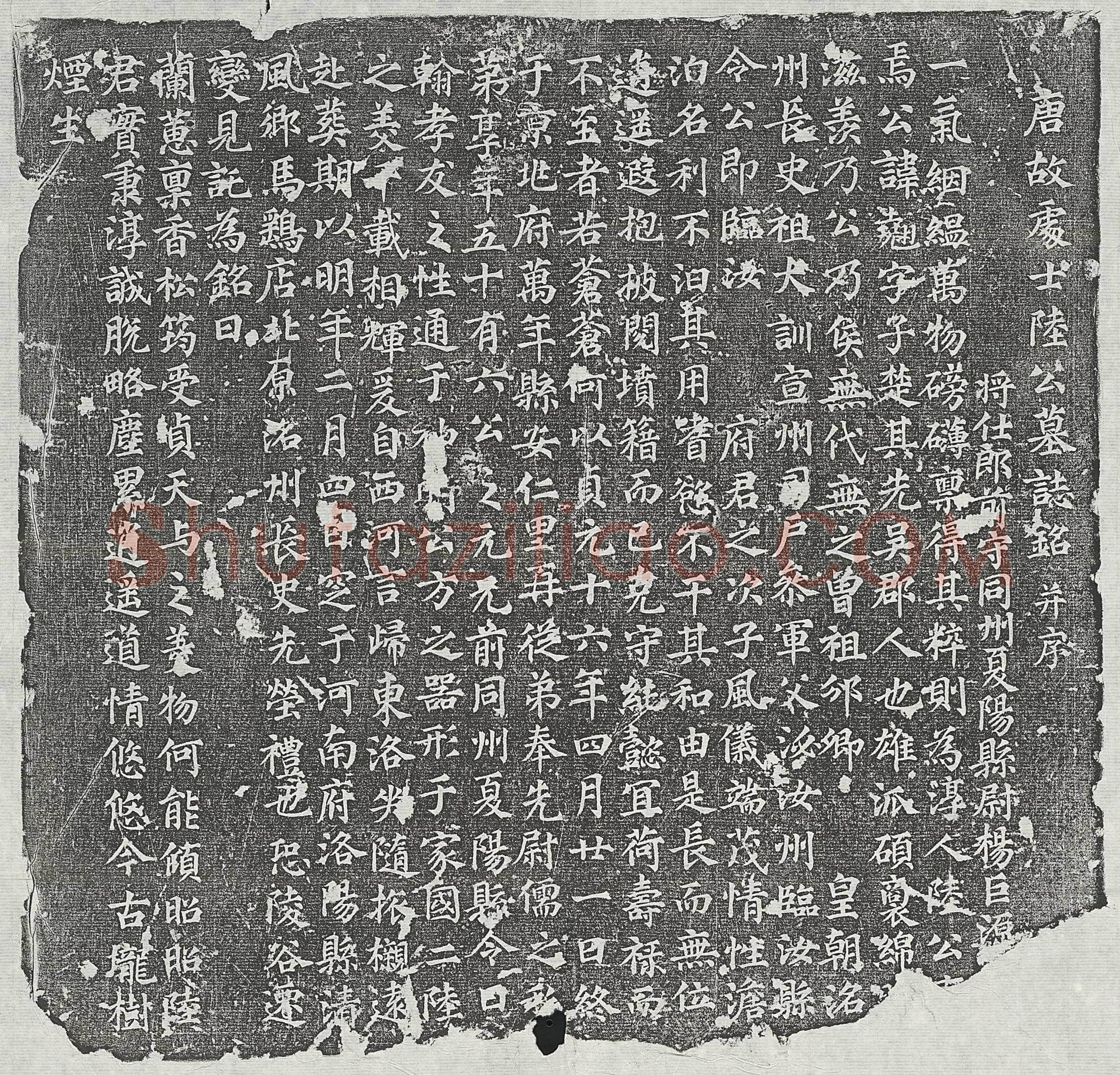 唐 柳君第廿五女 墓誌