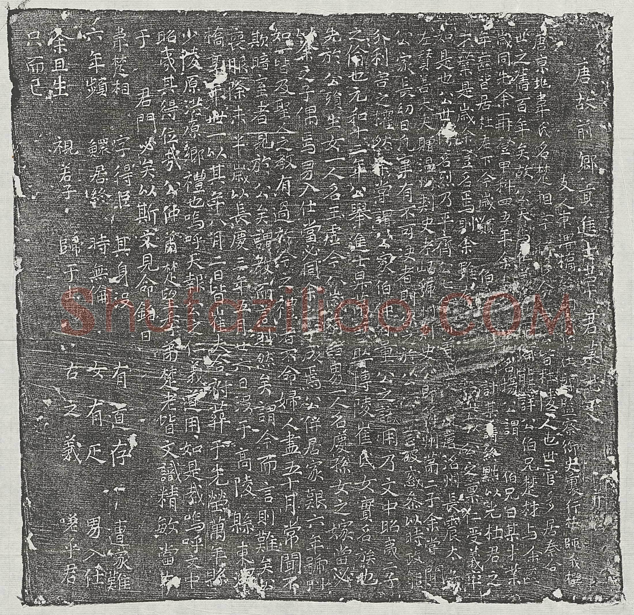 唐 常君 墓誌