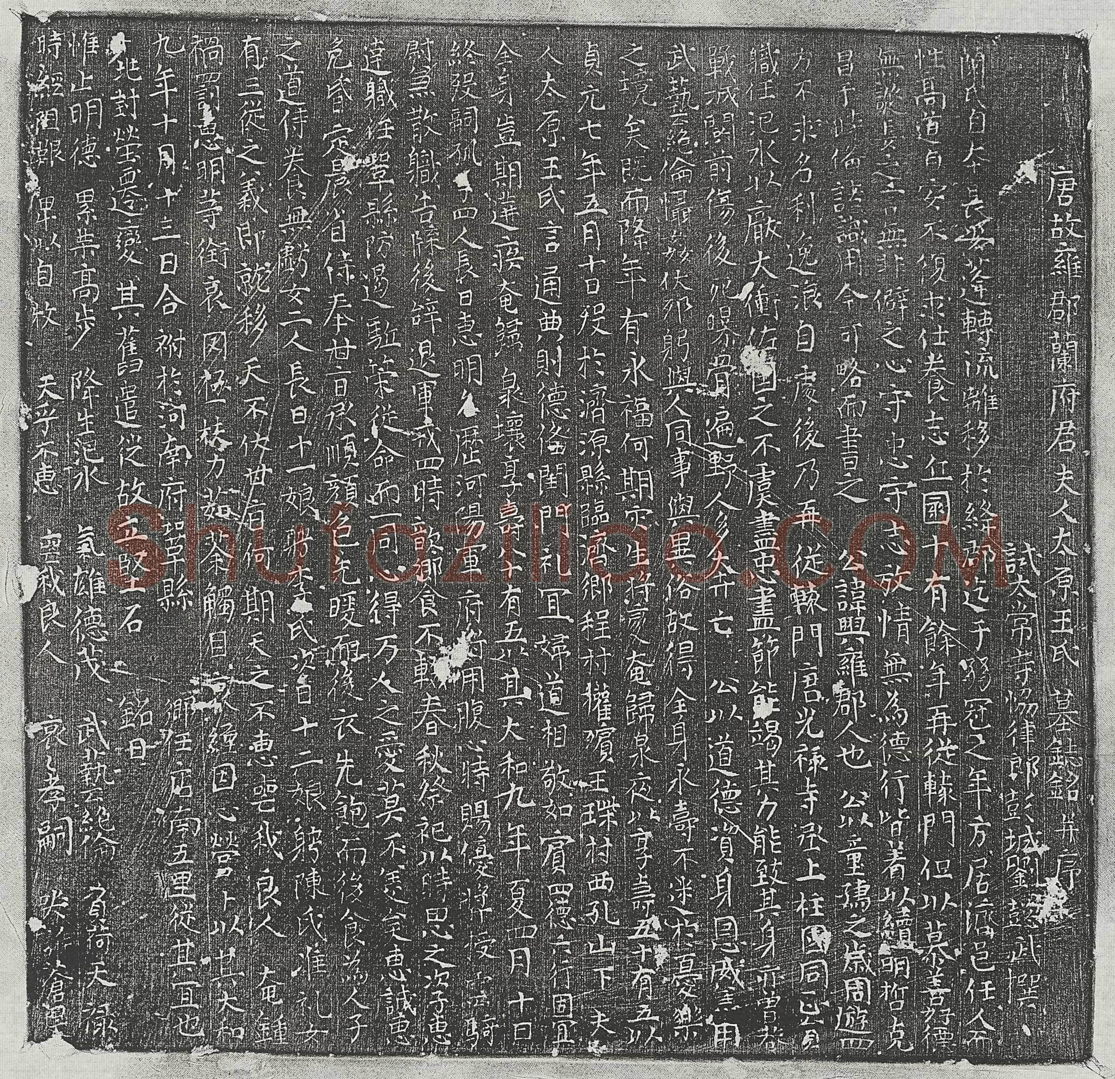 唐兰兴妻王氏墓誌(唐故雍郡阑府君夫人太原王氏墓誌铭并序)