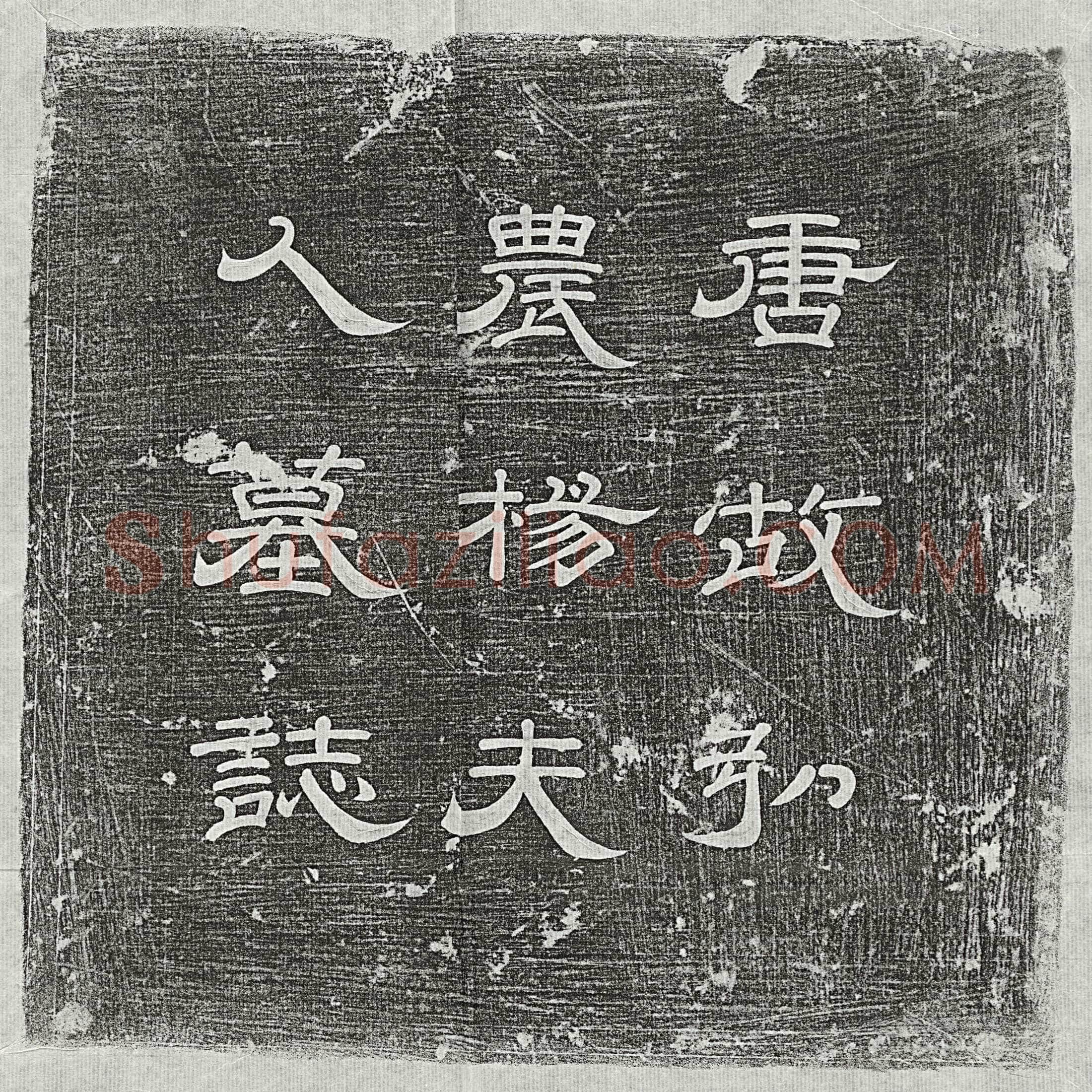 唐韩君妻杨氏墓誌(唐故弘农杨夫人墓誌铭并序)