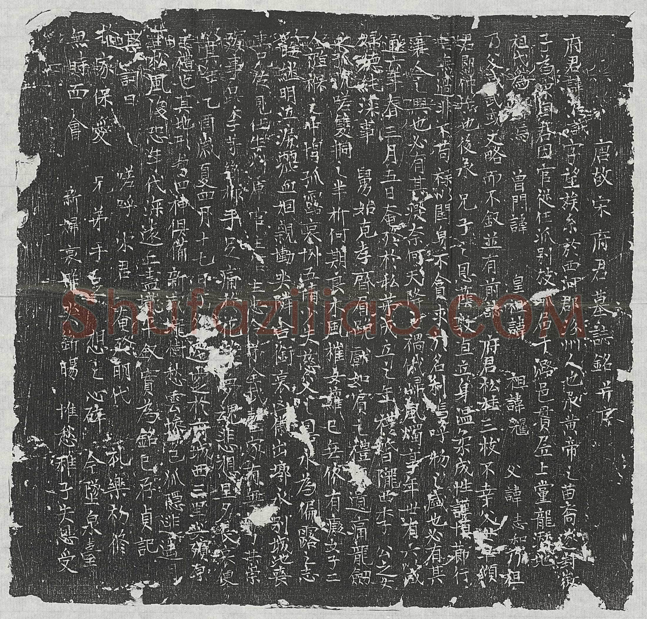 唐 郑交 墓誌