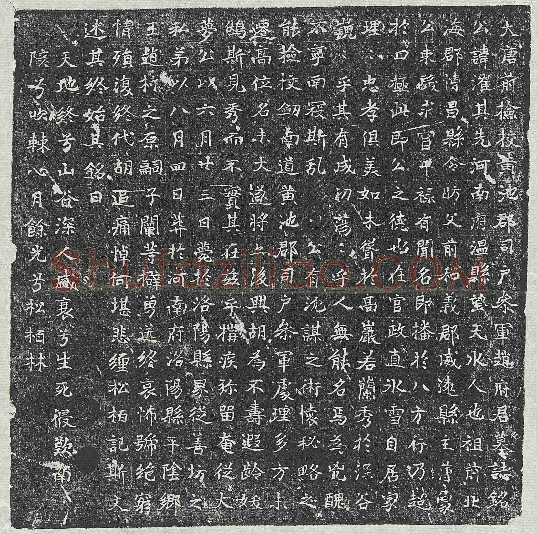 唐 亡尼 墓誌