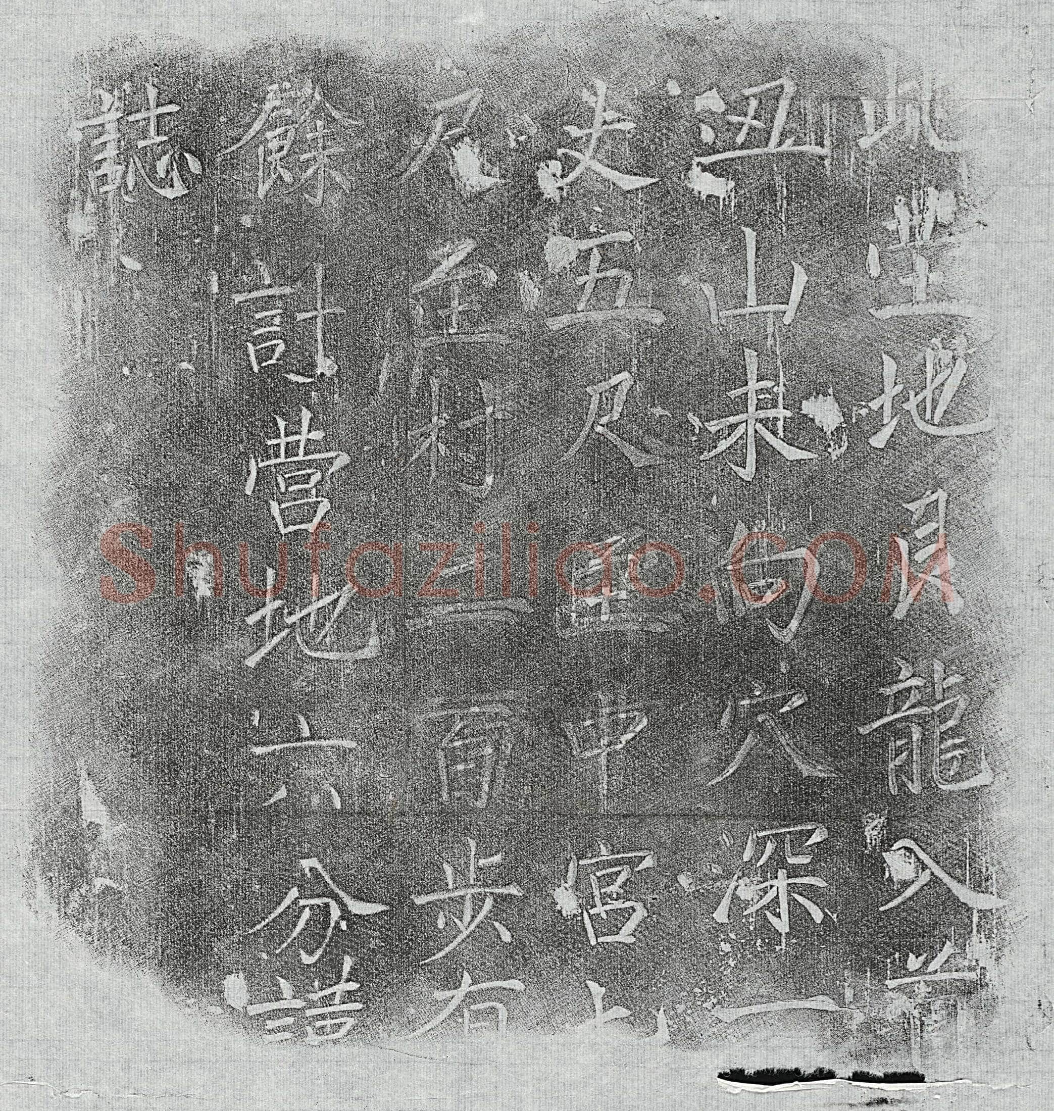清张金俊及弟张金望墓誌