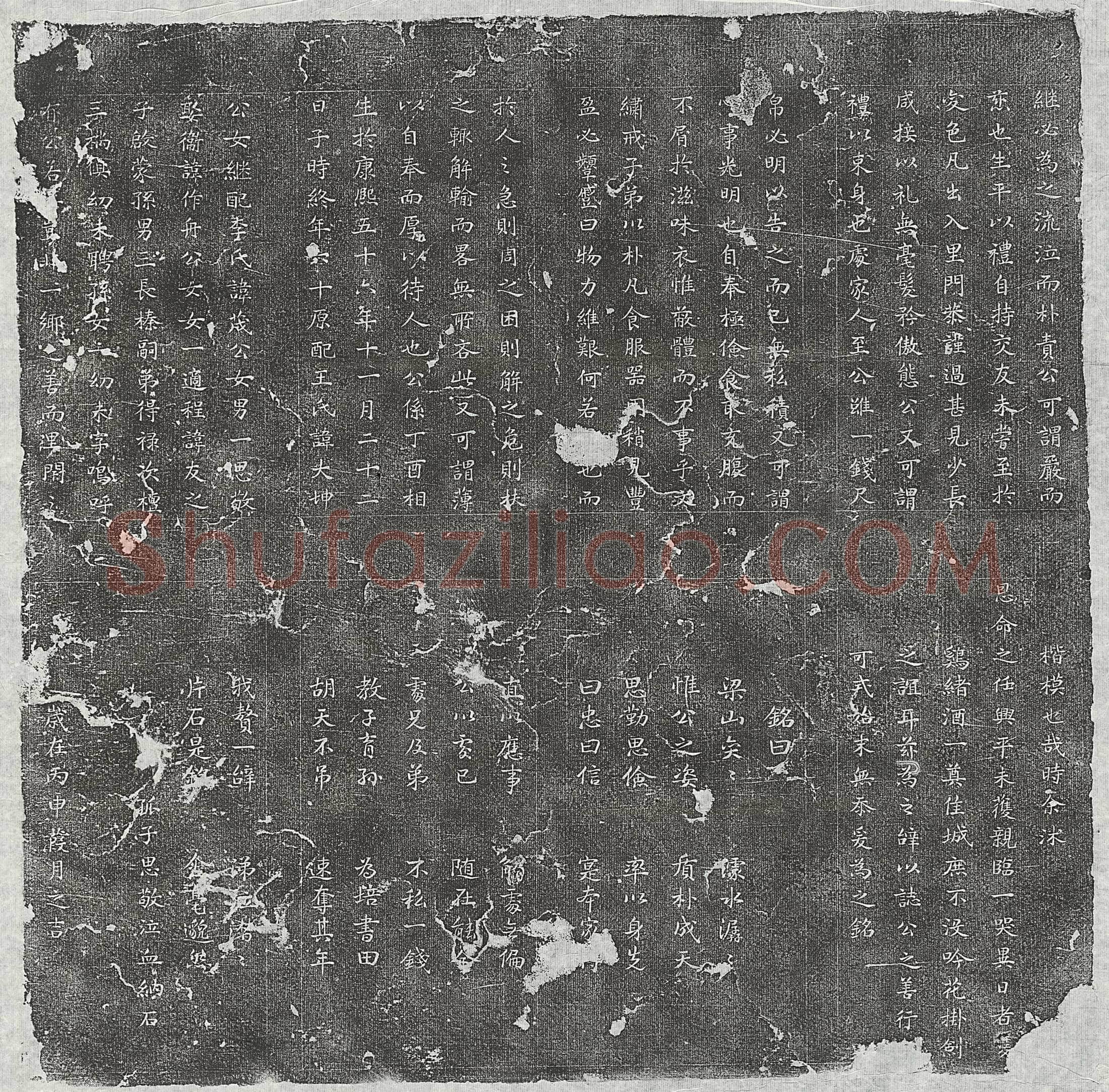 清 张金俊及弟张金望 墓誌