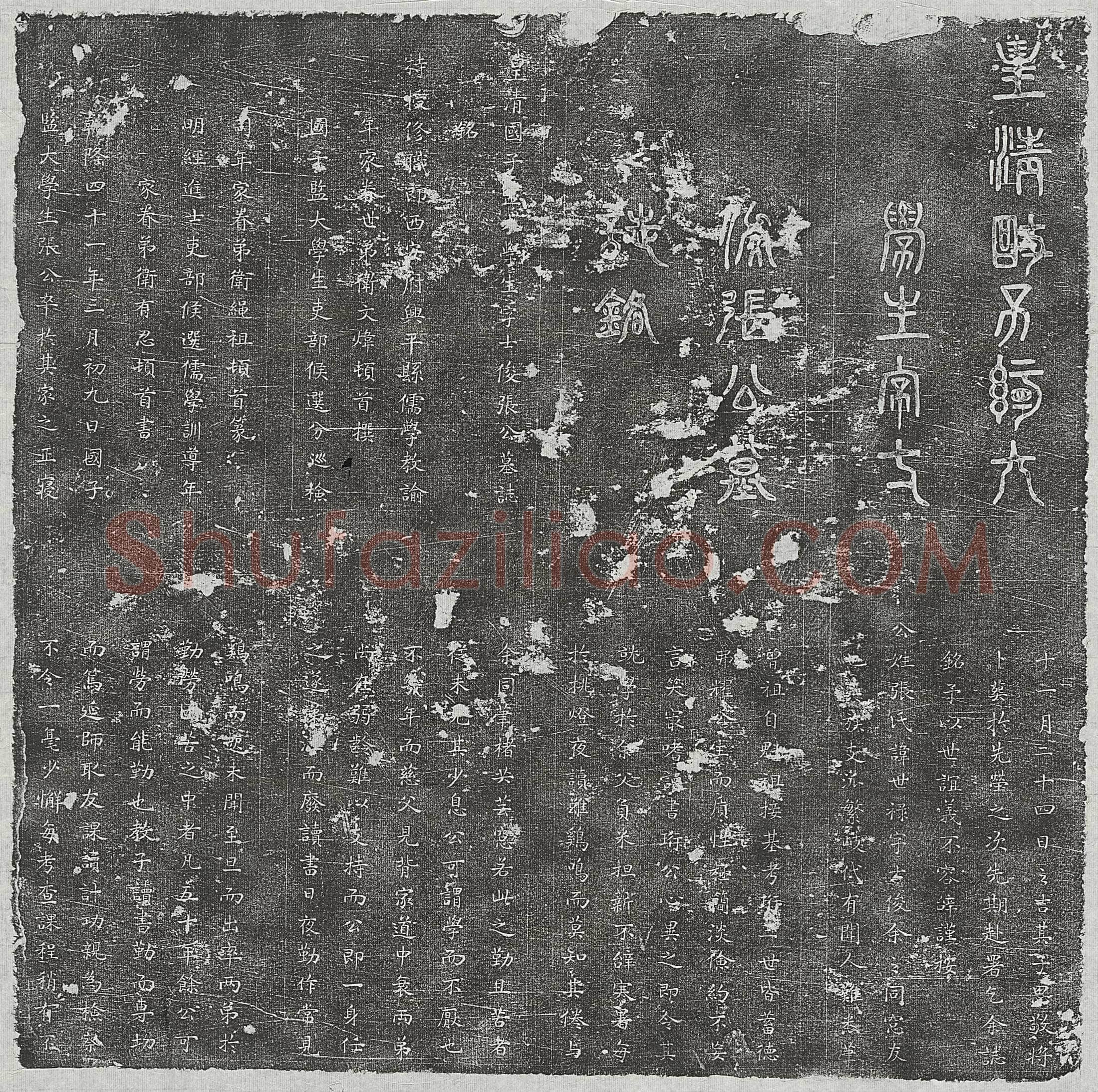 清 张金俊及弟张金望 墓誌