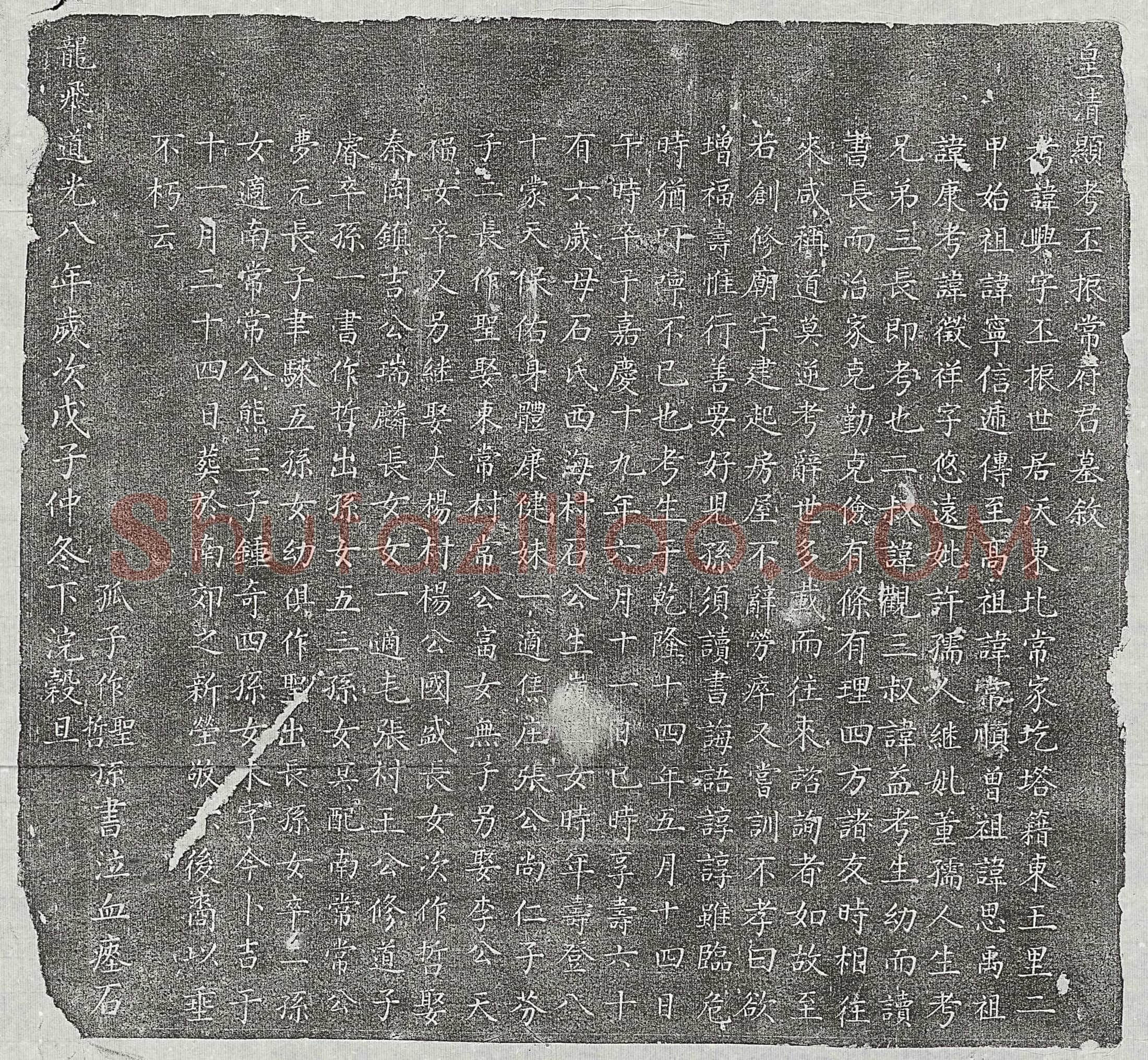 清常兴墓誌(皇清显考丕振常府君墓叙)