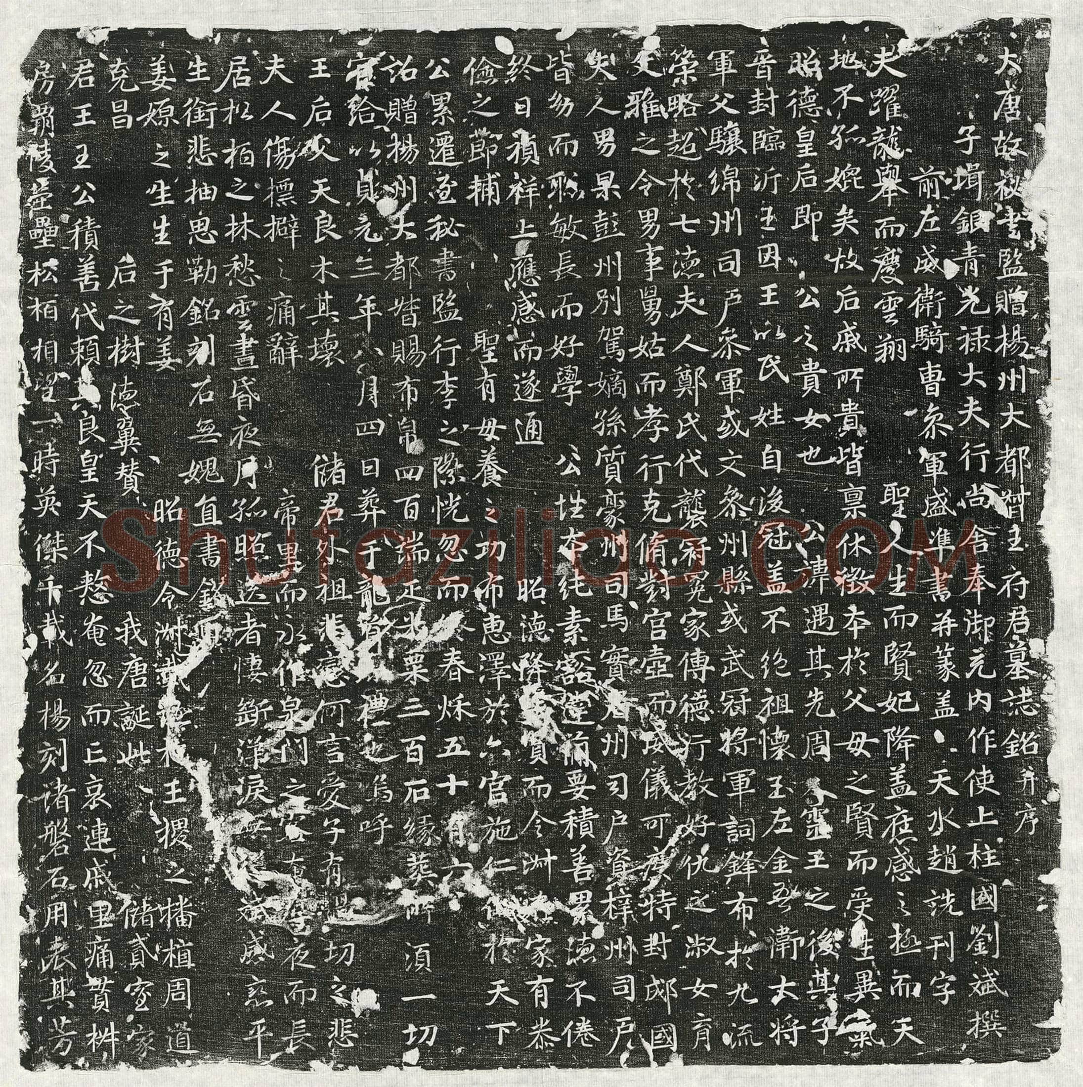 唐 昭靖太子李邈 墓誌