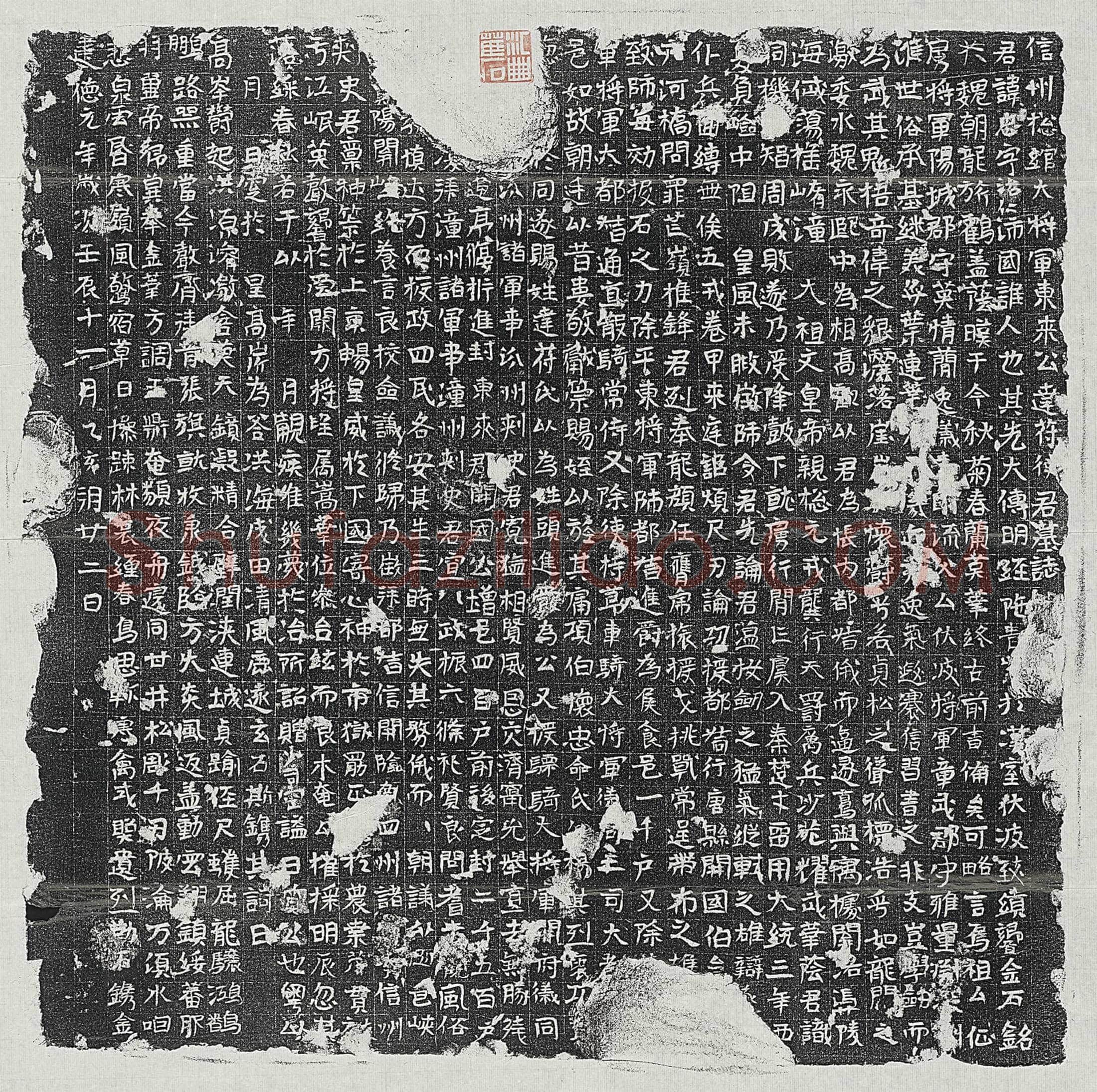北朝达苻忠墓誌(信州总绾大将军东来公达苻使君墓誌)
