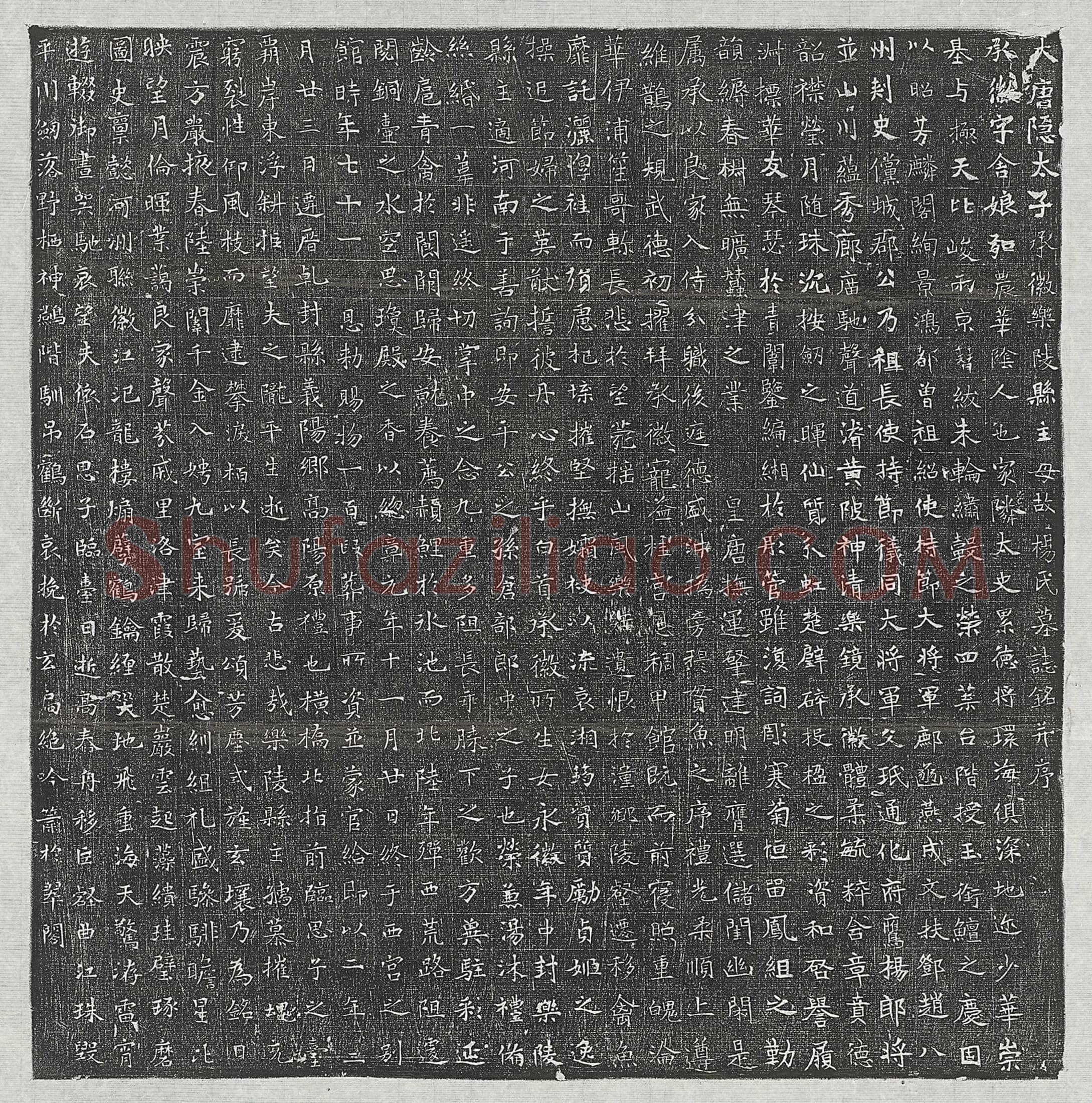 唐隐太子李建成承徽杨舍娘墓誌(大唐隐太子承徽乐陵县主母故杨氏墓誌铭并序)