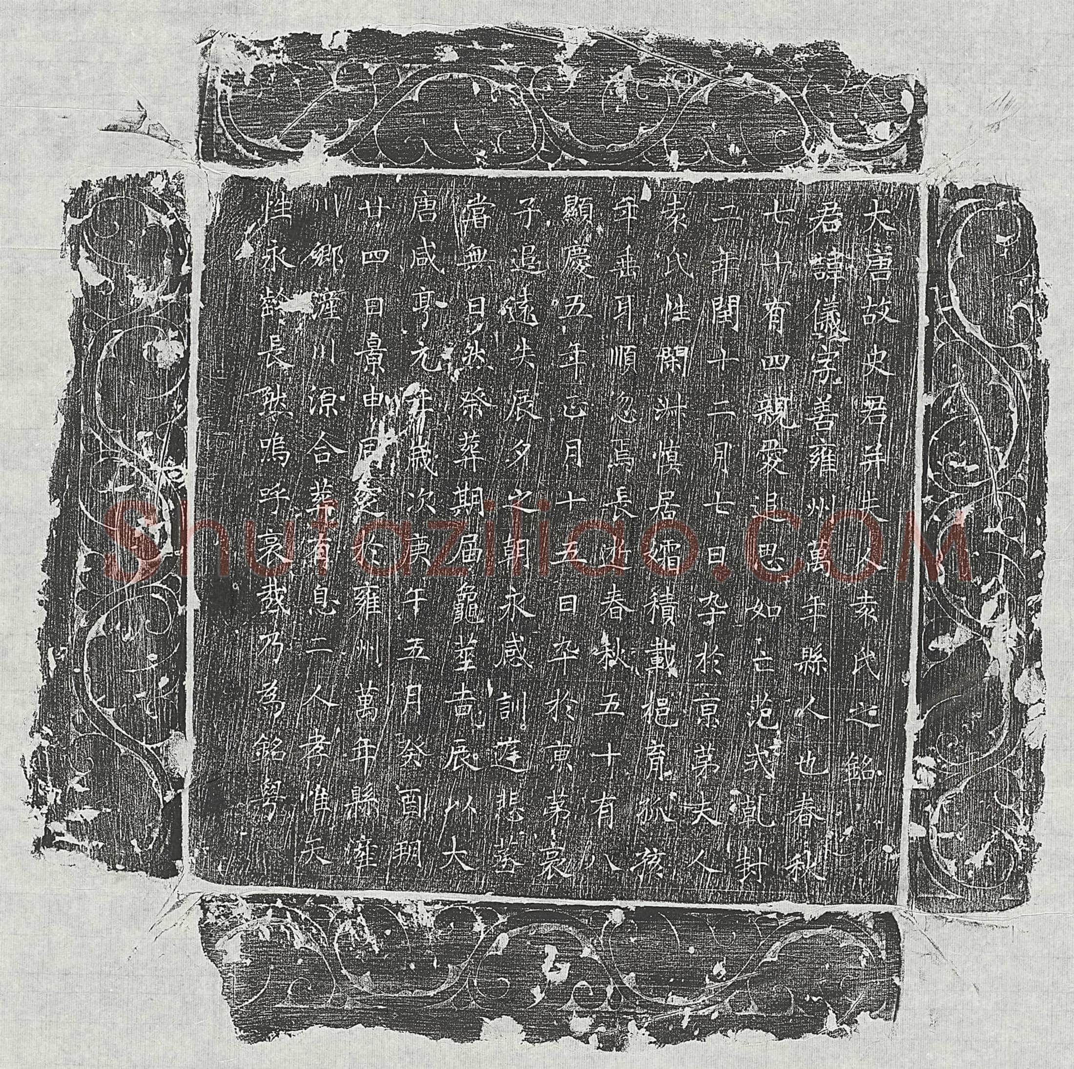 唐史仪、史仪妻袁氏墓誌(大唐故史君并夫人袁氏之铭)