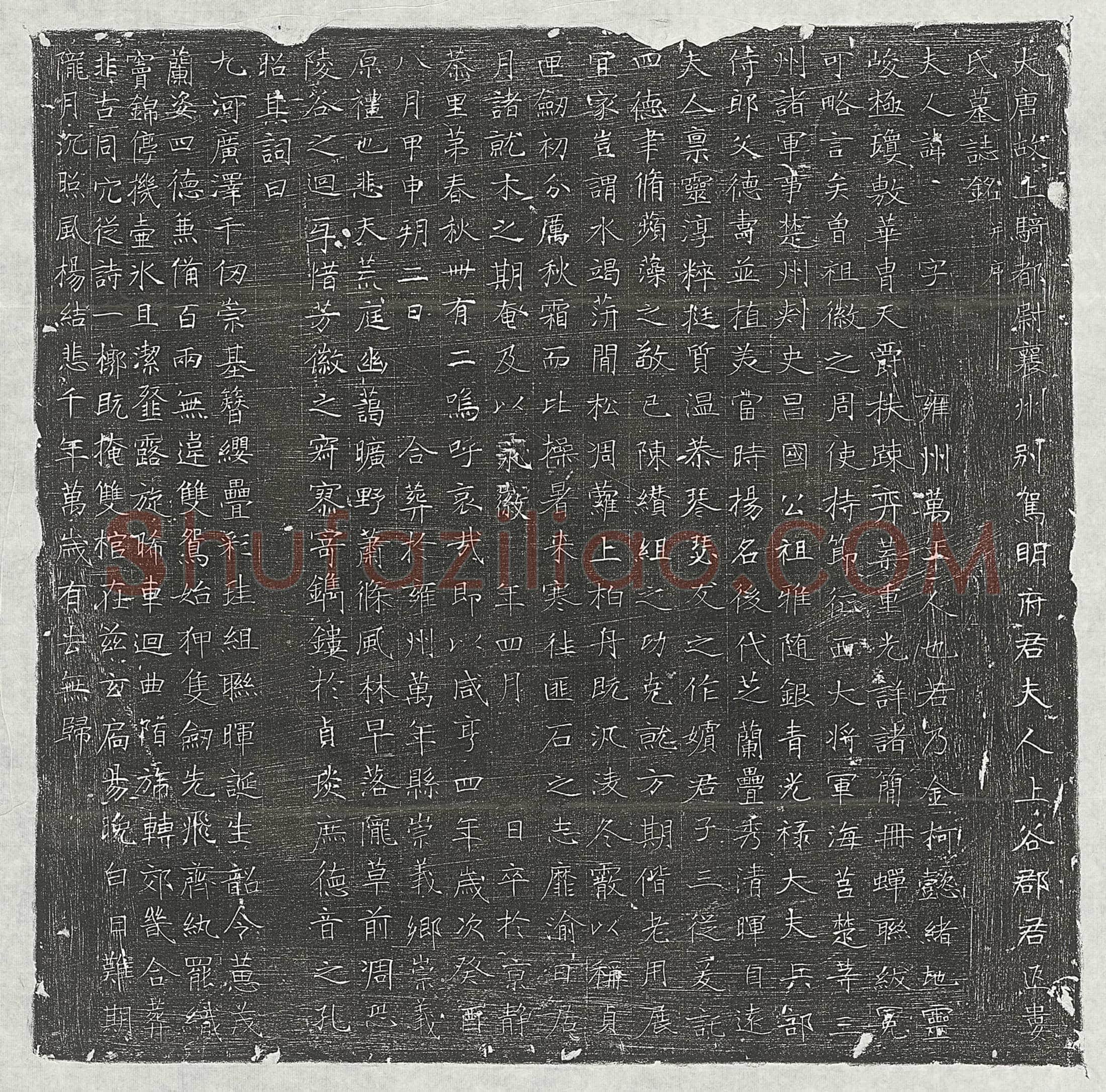 唐明君妻匹娄氏墓誌(大唐故上骑都尉襄州别驾明府君夫人上谷郡君匹娄氏墓誌铭并序)