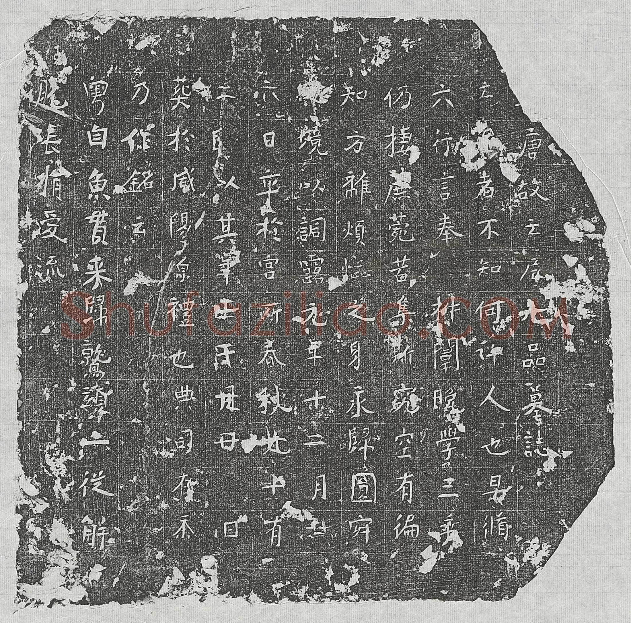 唐七品亡尼墓誌(□唐故亡尼七品墓誌)