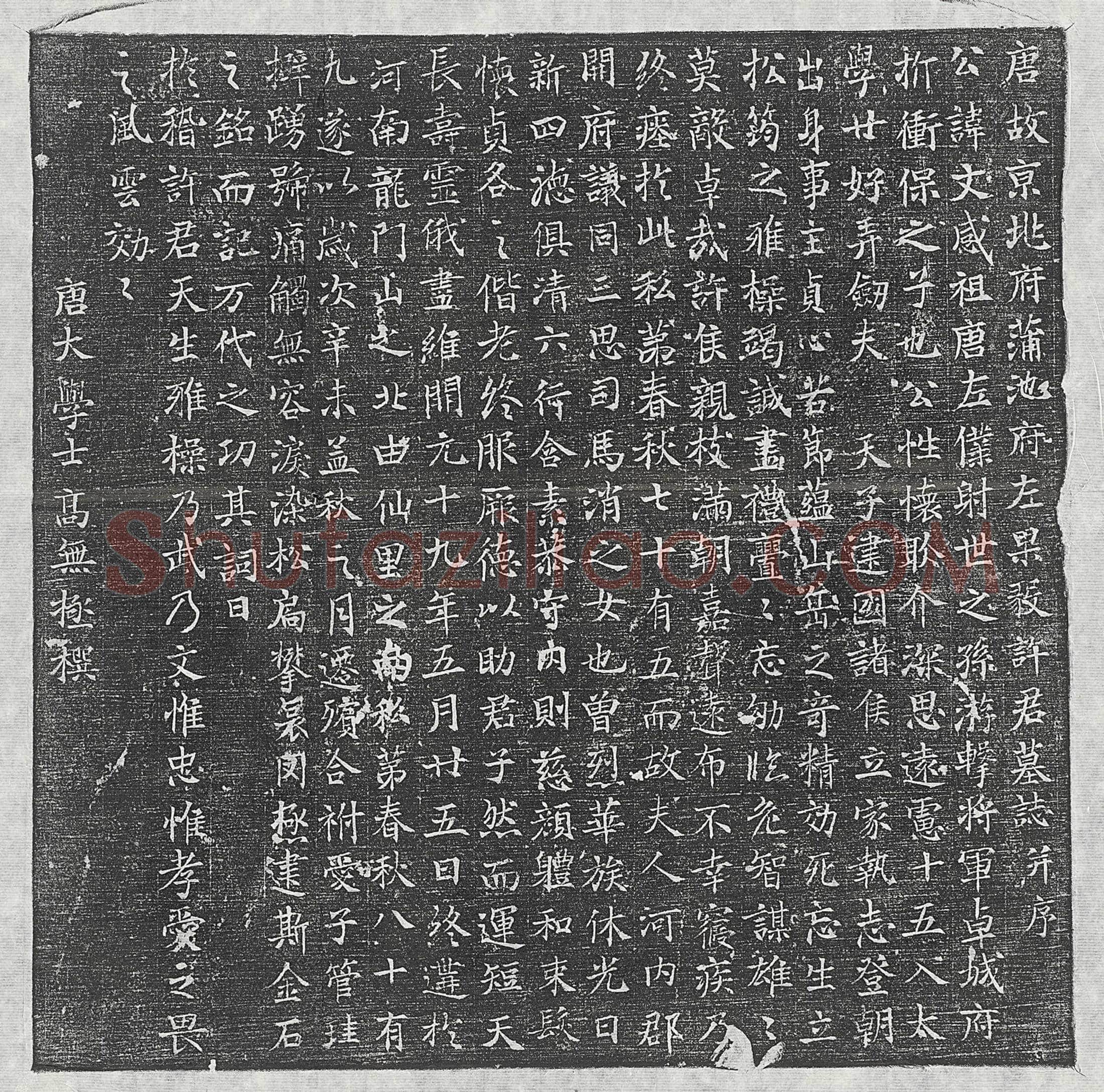 唐 张庭则女张氏 墓誌