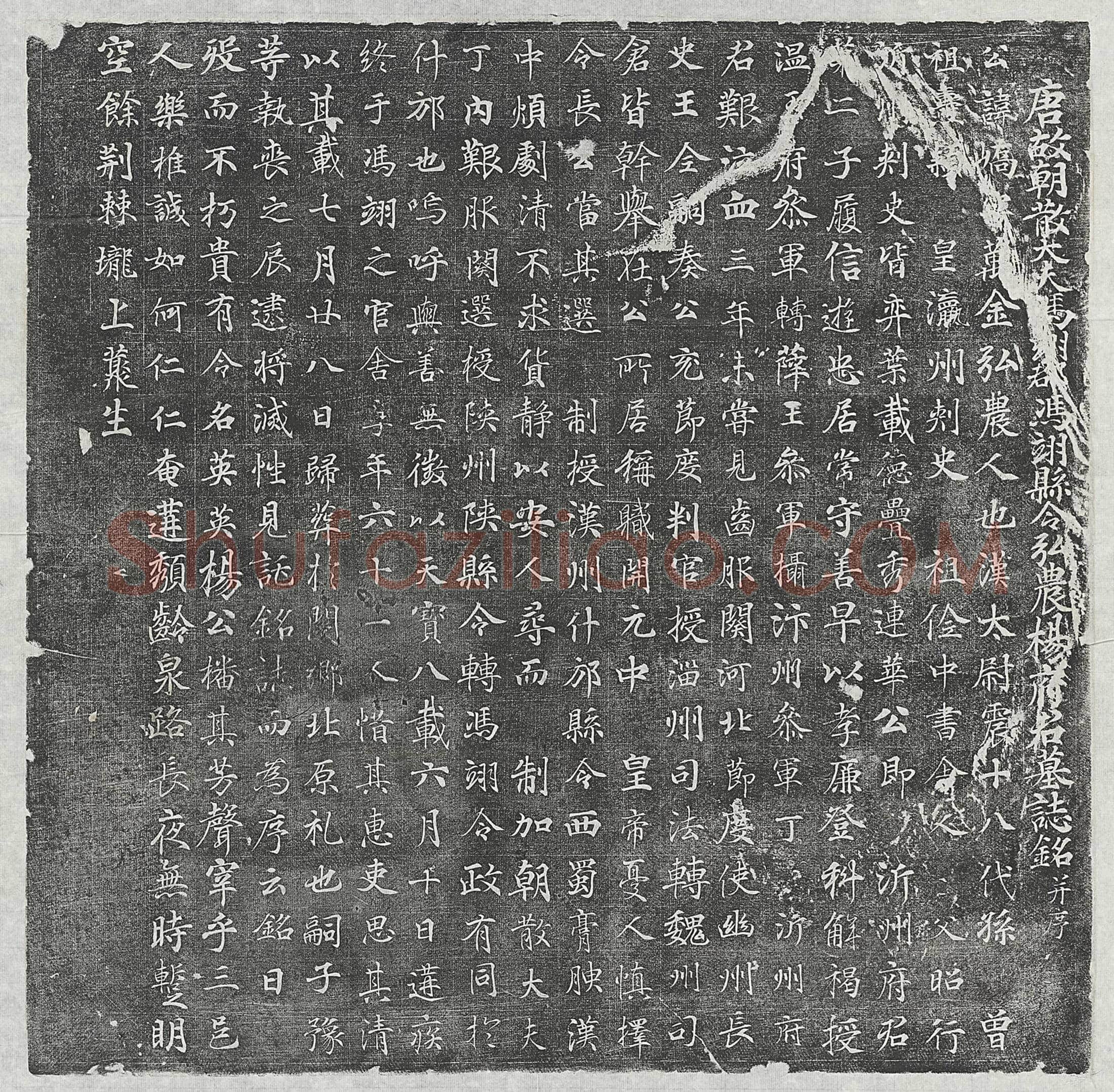 唐 张玄祎 墓誌