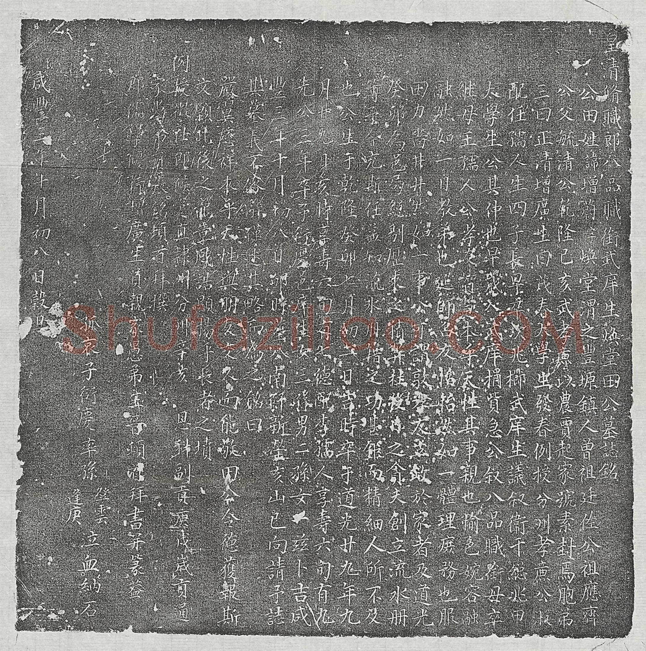 清 崔业畅 崔业畅妻张氏 墓誌