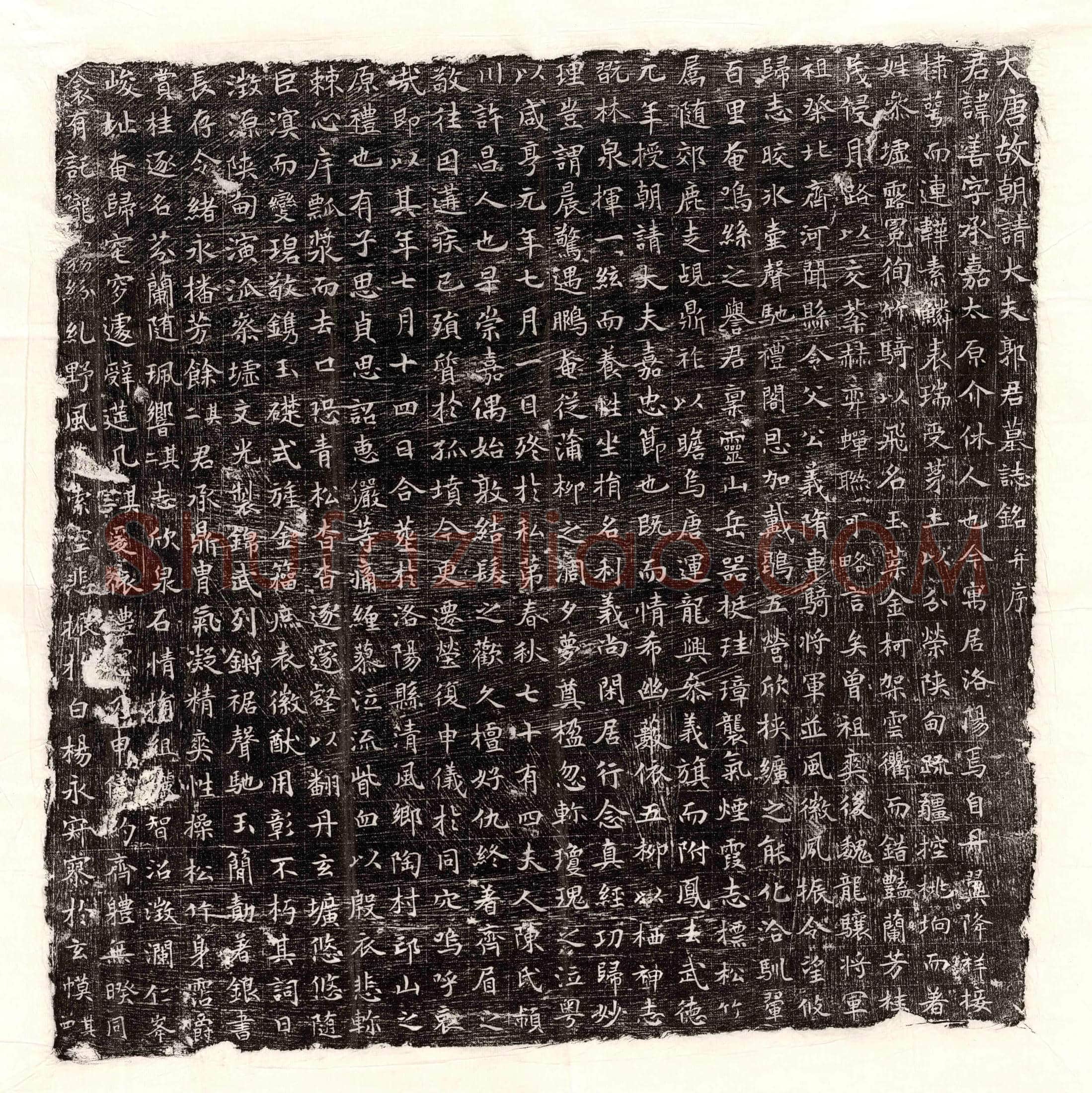 唐 屈突仲翔妻朱氏 墓誌