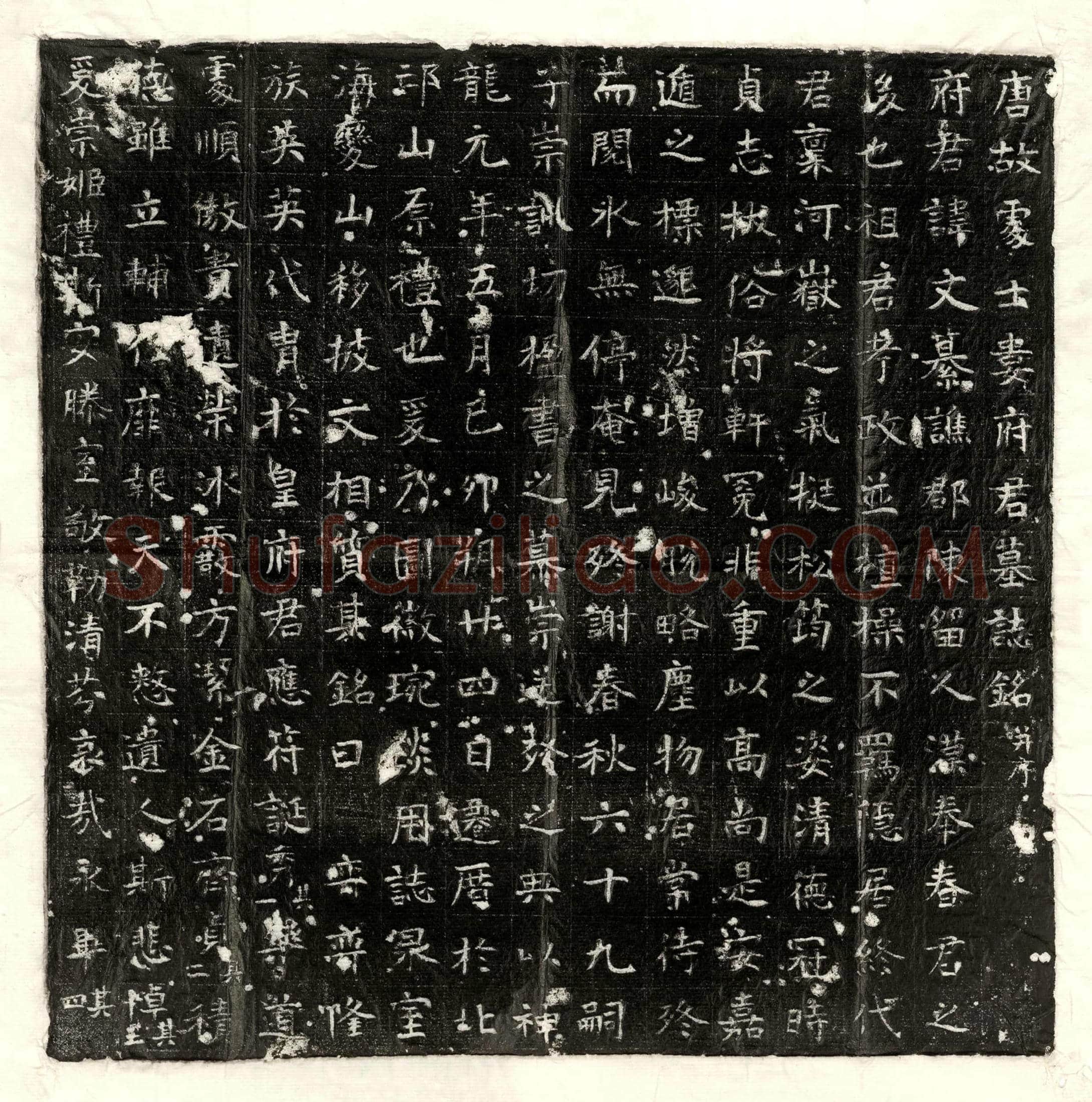唐娄文纂墓誌(唐故处士娄府君墓誌铭并序)